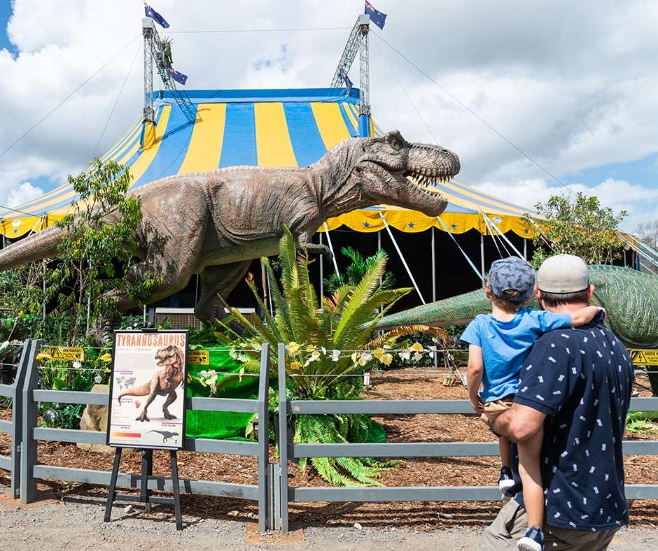 Have Fun At Skinners Adventure Playground