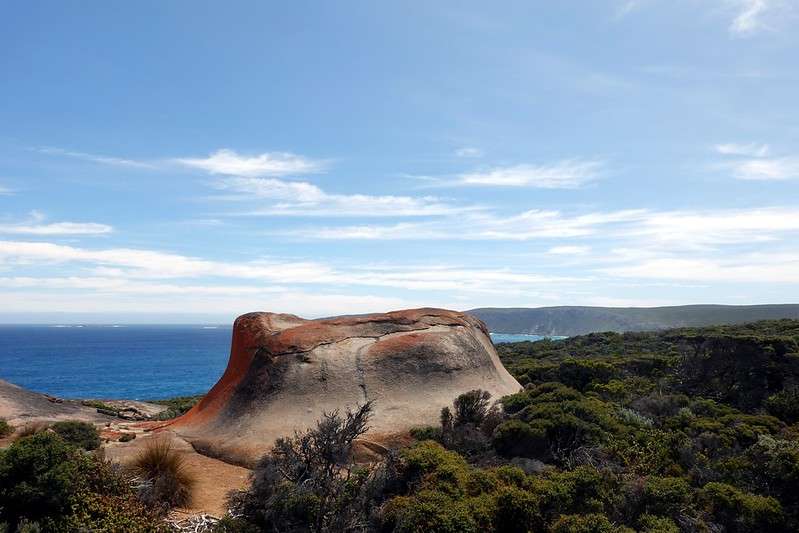 Visit the Kangaroo Island