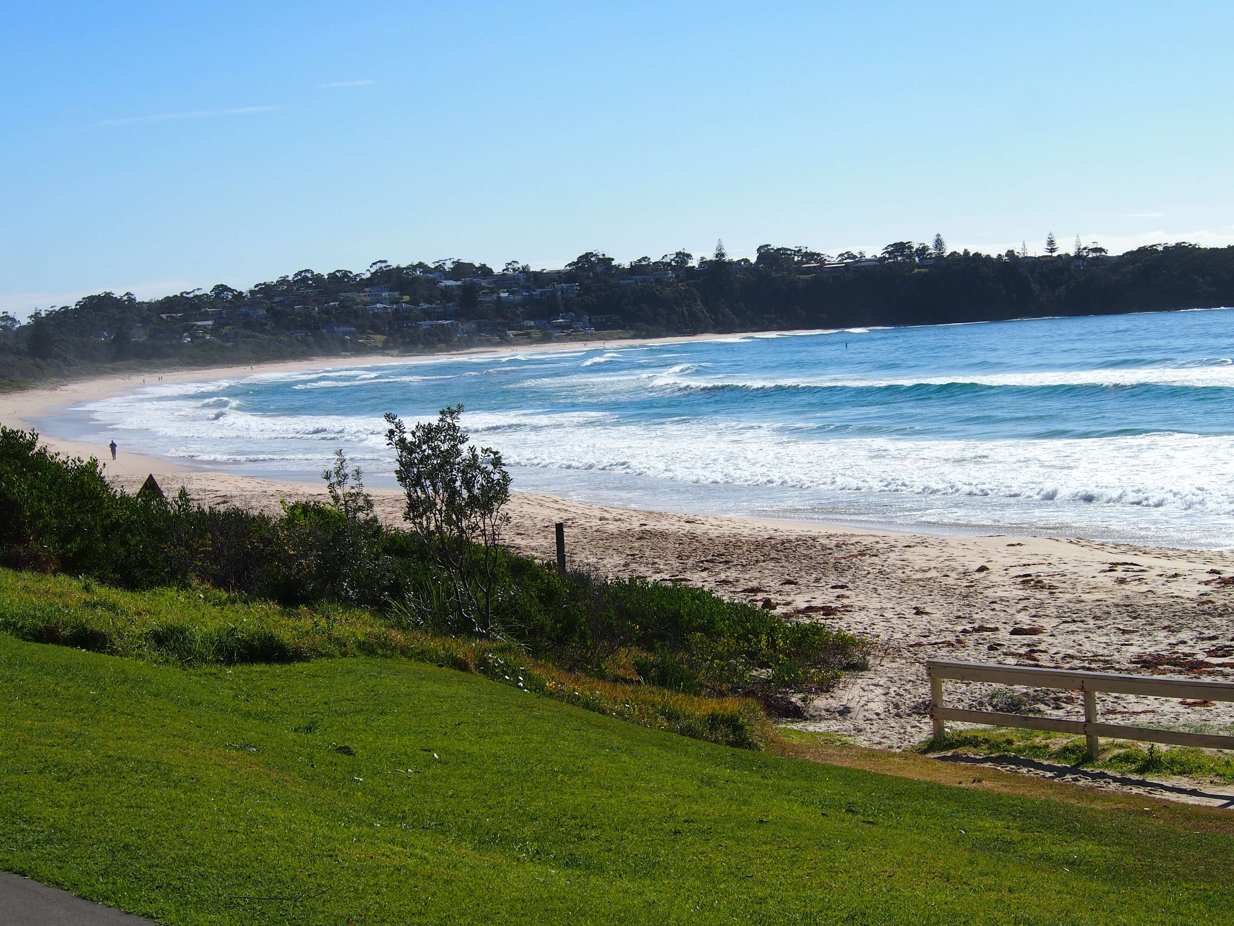 Surf in the Mollymook