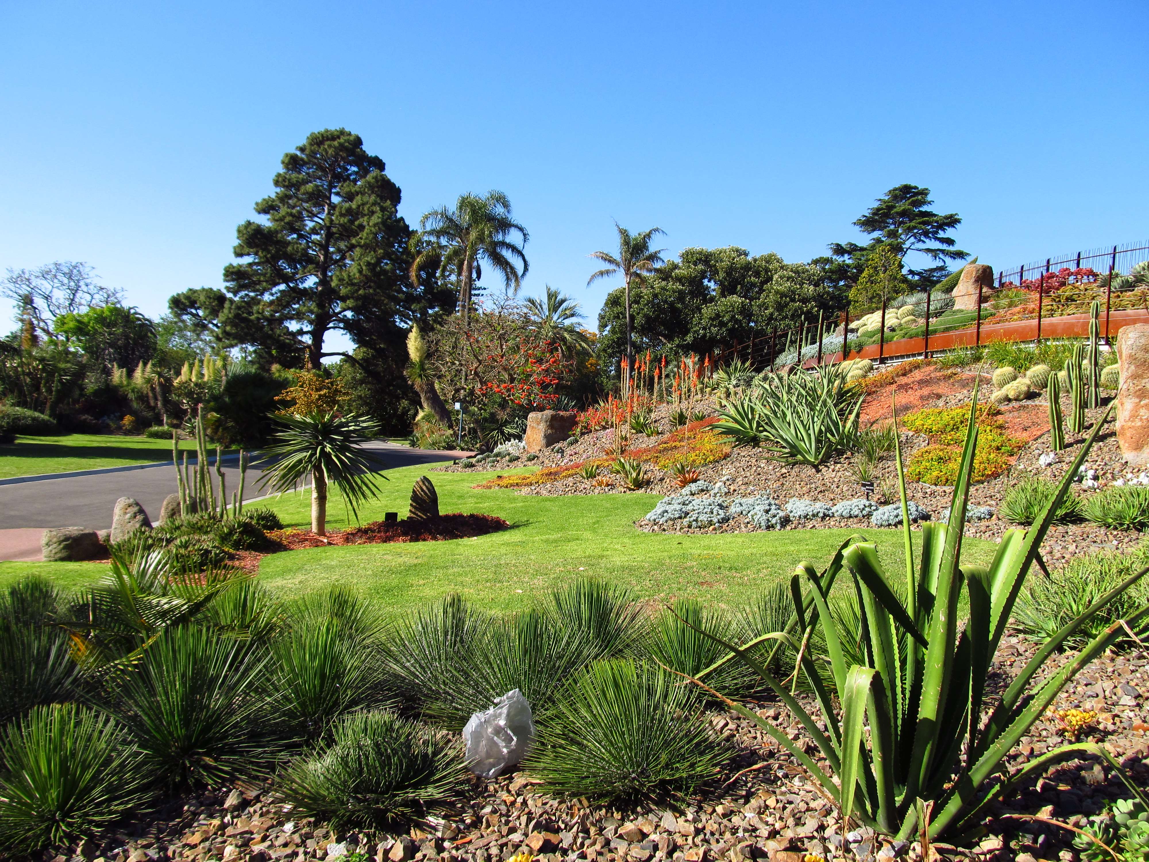 Picnic At Royal Botanic Gardens