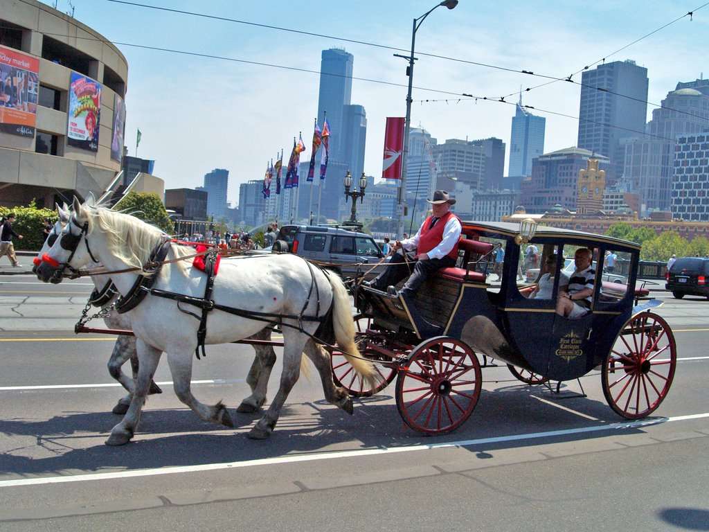 Take The Romantic Horse & Carriage Tour