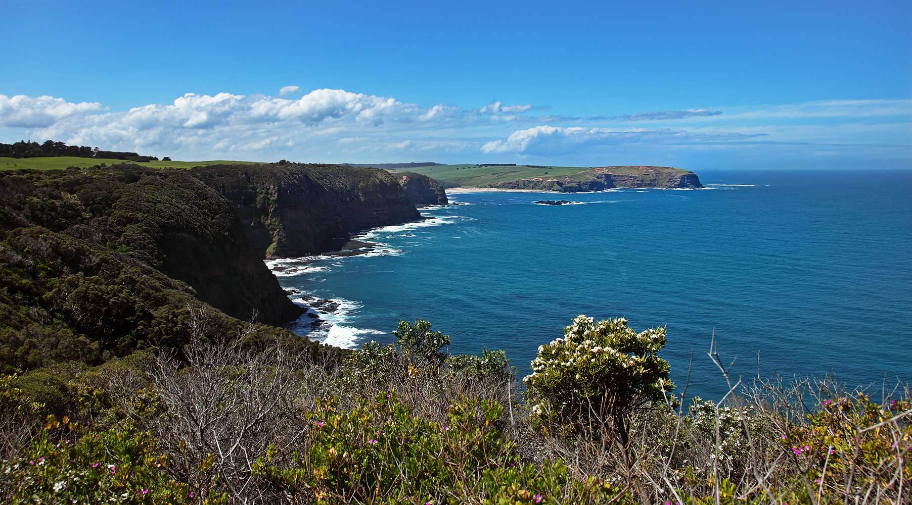 Hike At Mornington Peninsula National Park