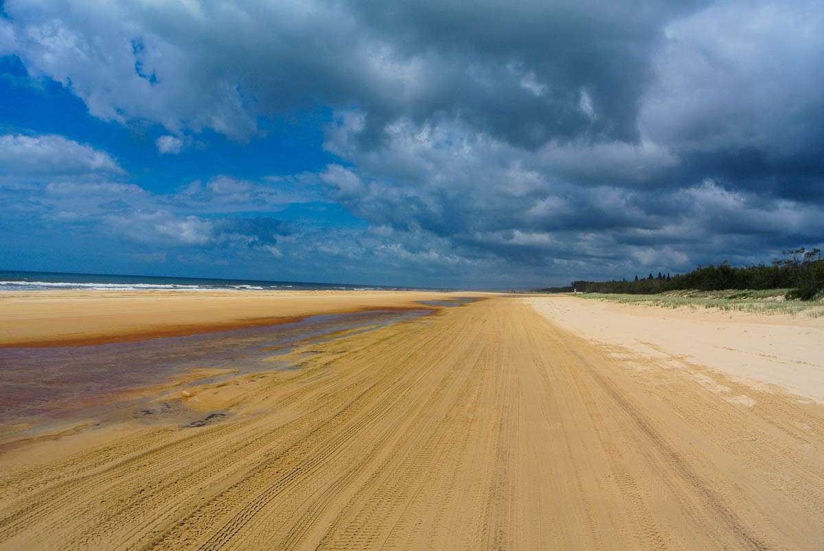 Visit the Fraser Island