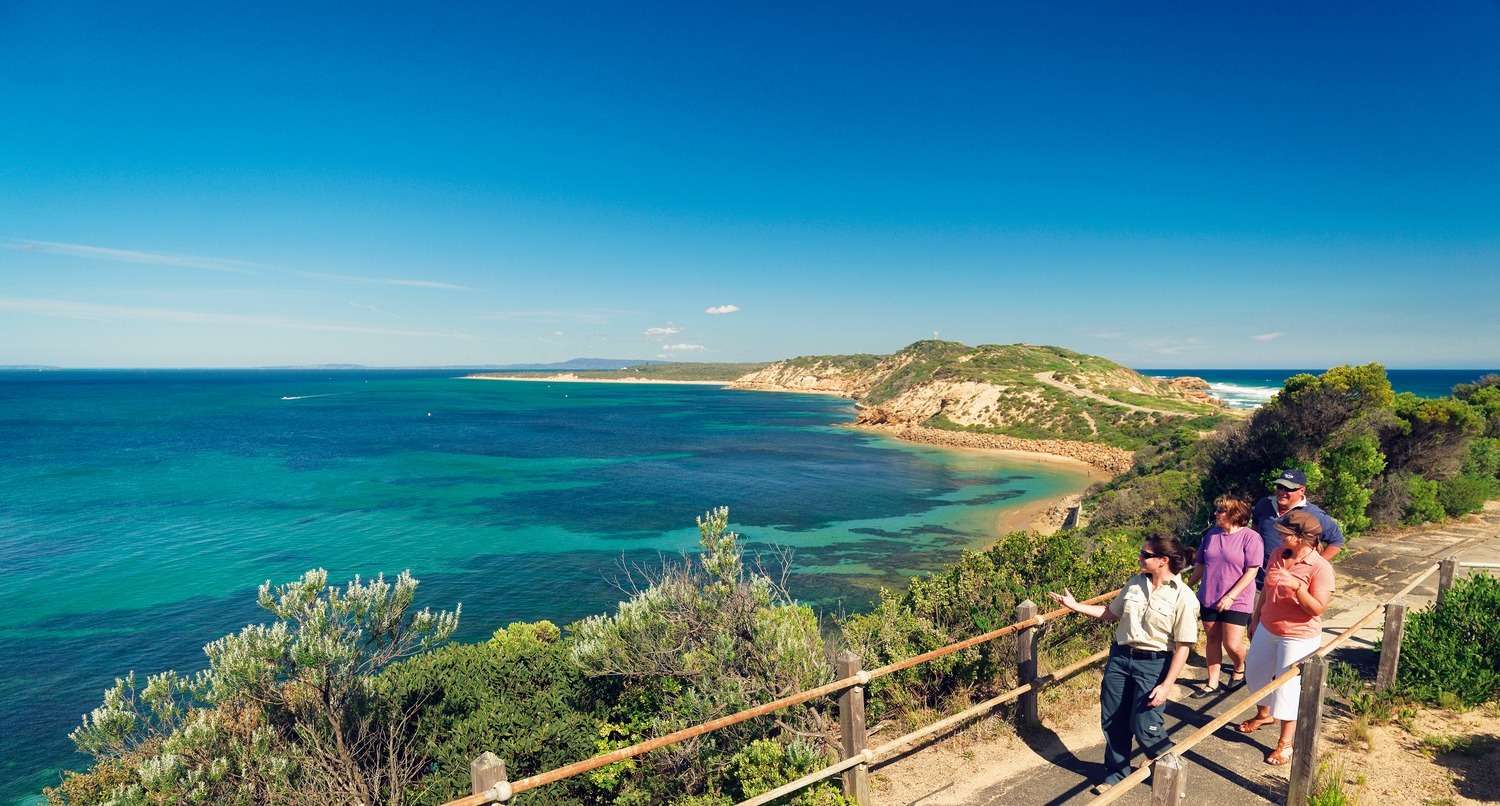 Experience Tree Surfing At Enchanted Adventure