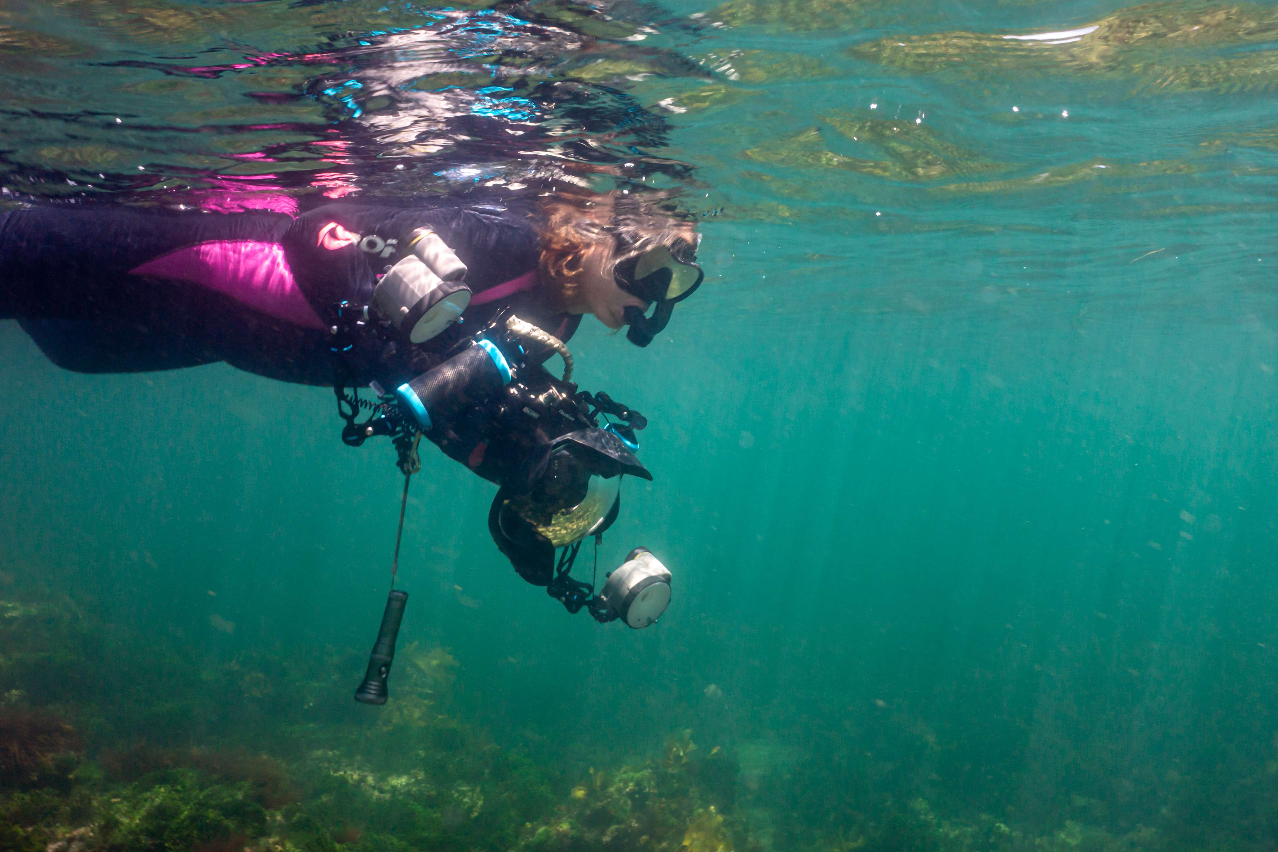 Snorkeling At Ricketts Point Marine Sanctuary