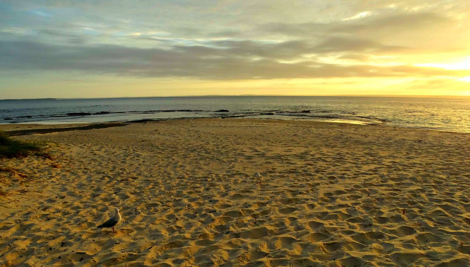 Visit the Jervis Bay