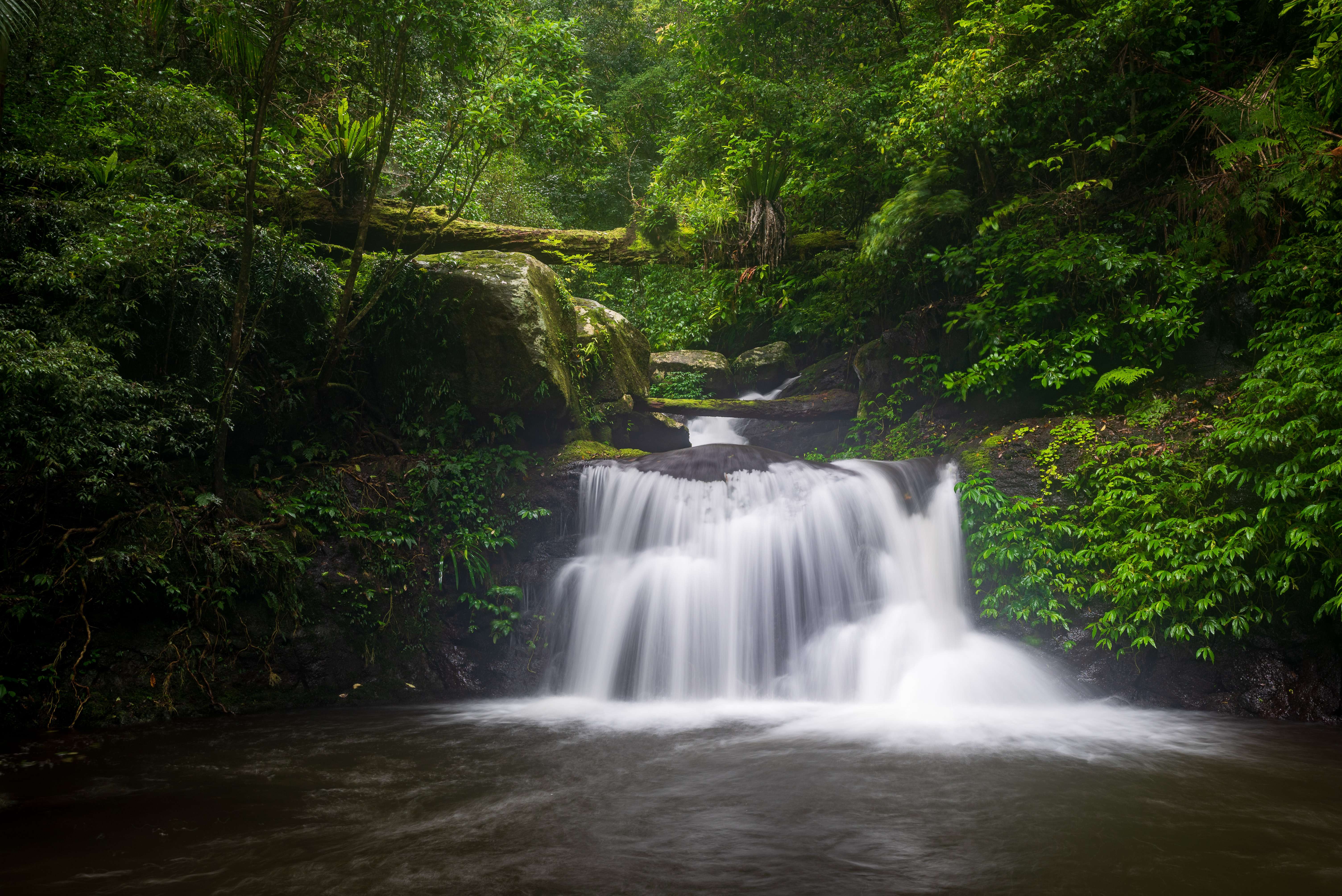 Explore the Lamington National Park