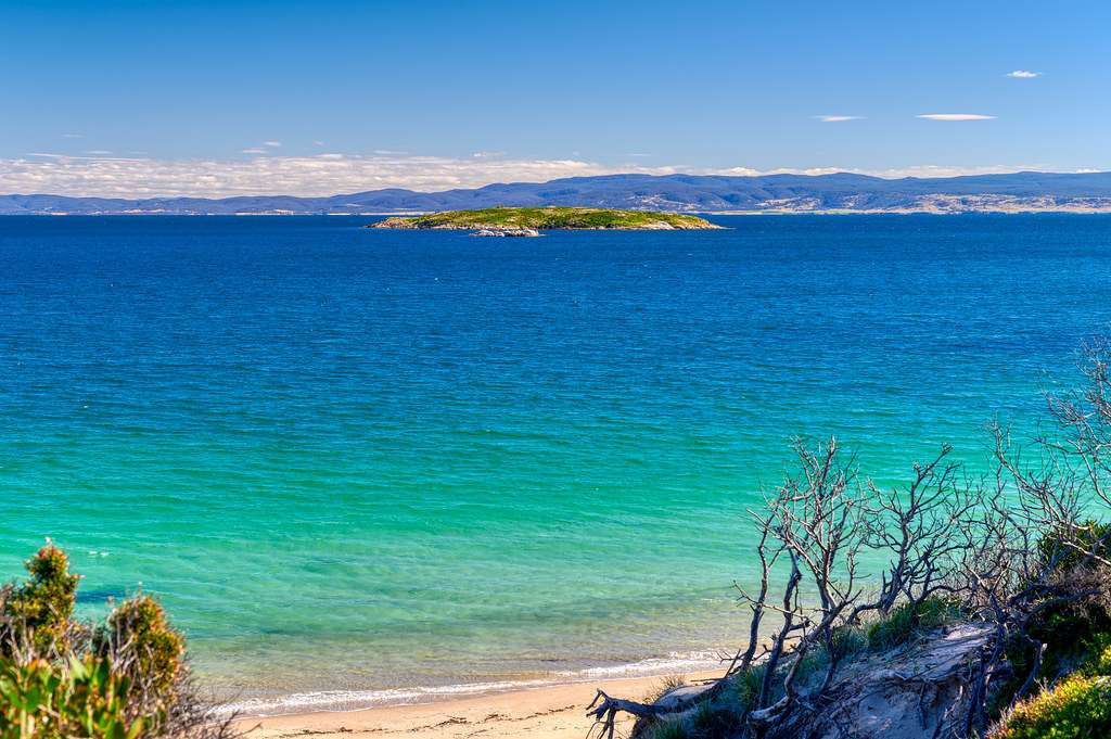 Discover the Penguin Island