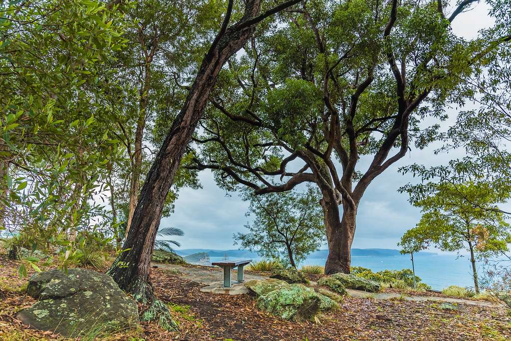 Explore the Ku-ring-gai Chase National Park