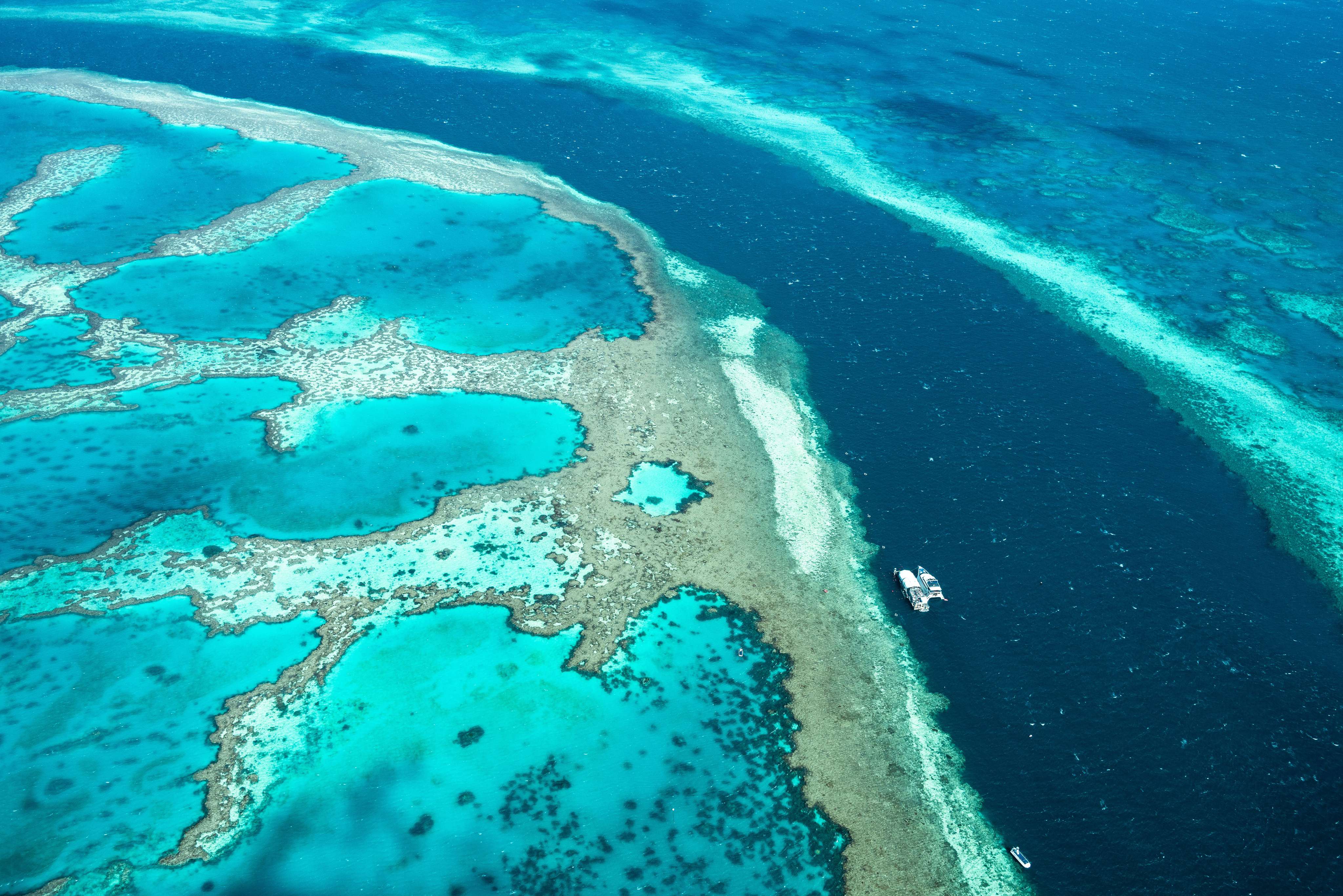 Explore the Great Barrier Reef