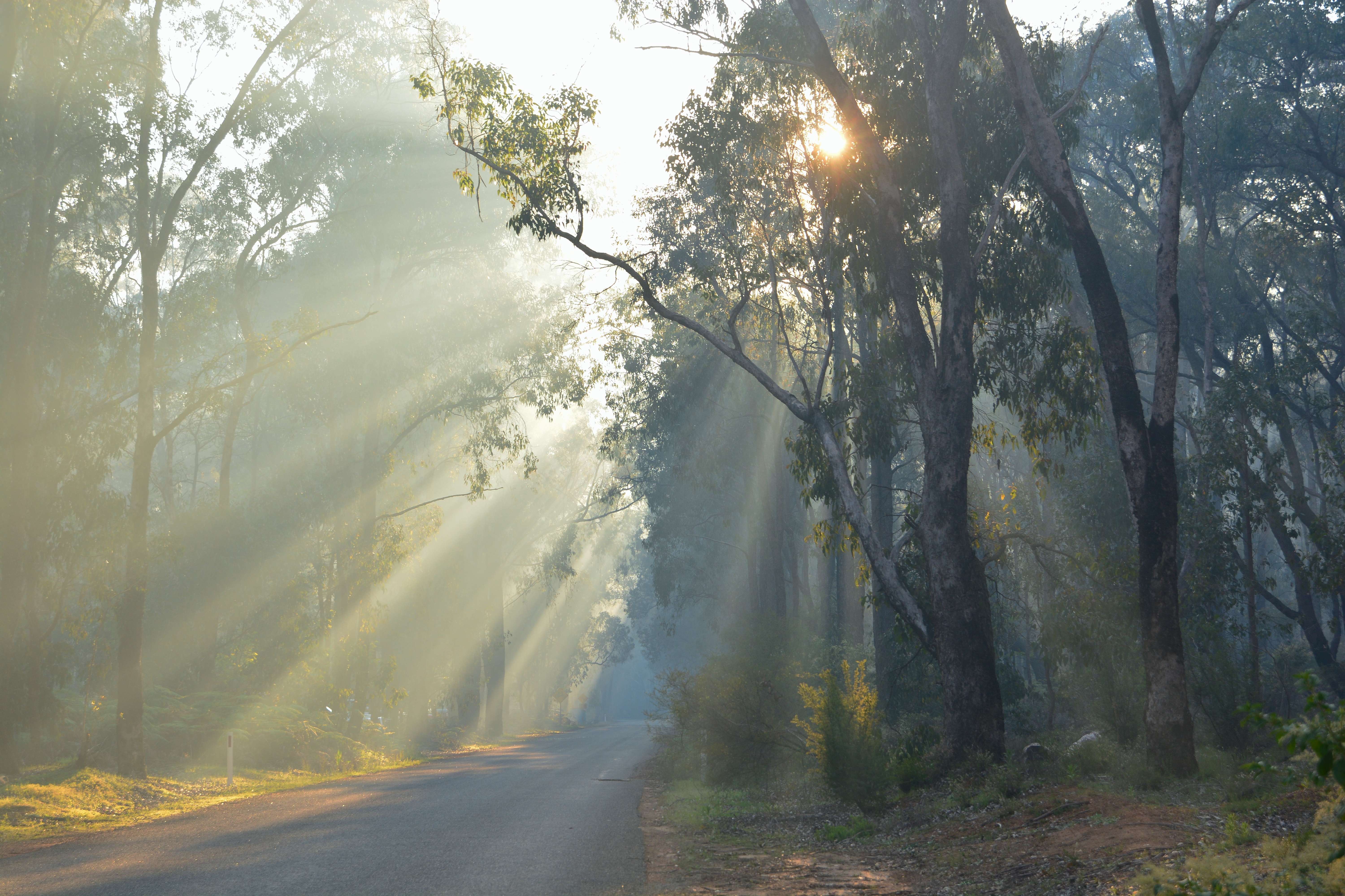 Explore Lane Pool Reserve, Western Australia