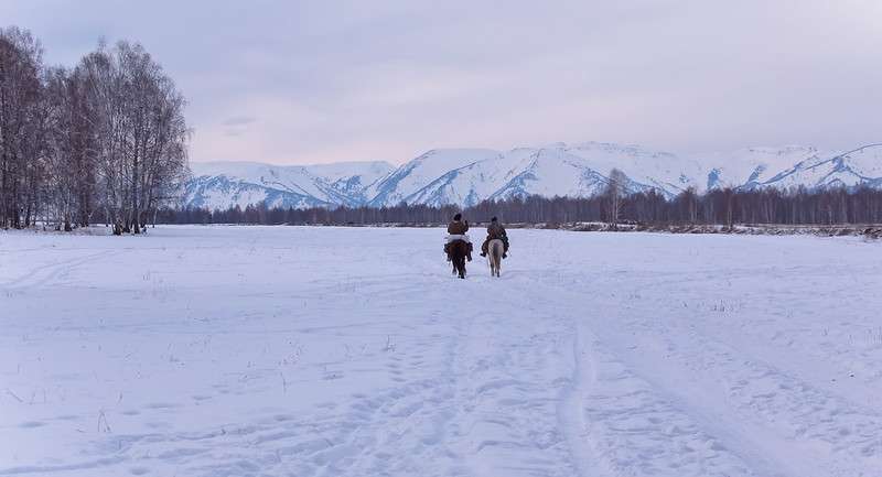 Horseback riding in Snowy Mountains