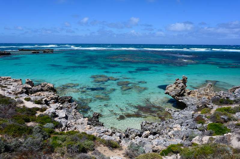 Explore Rottnest Island