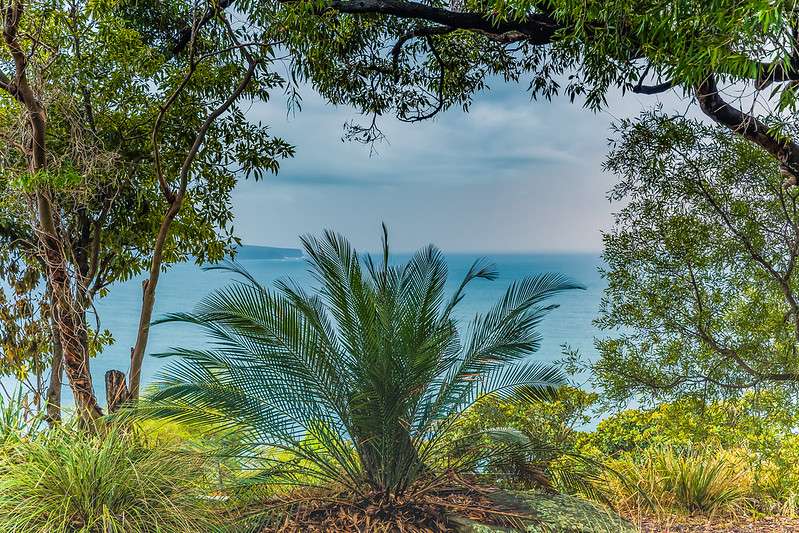 Explore the Ku-ring-gai Chase National Park