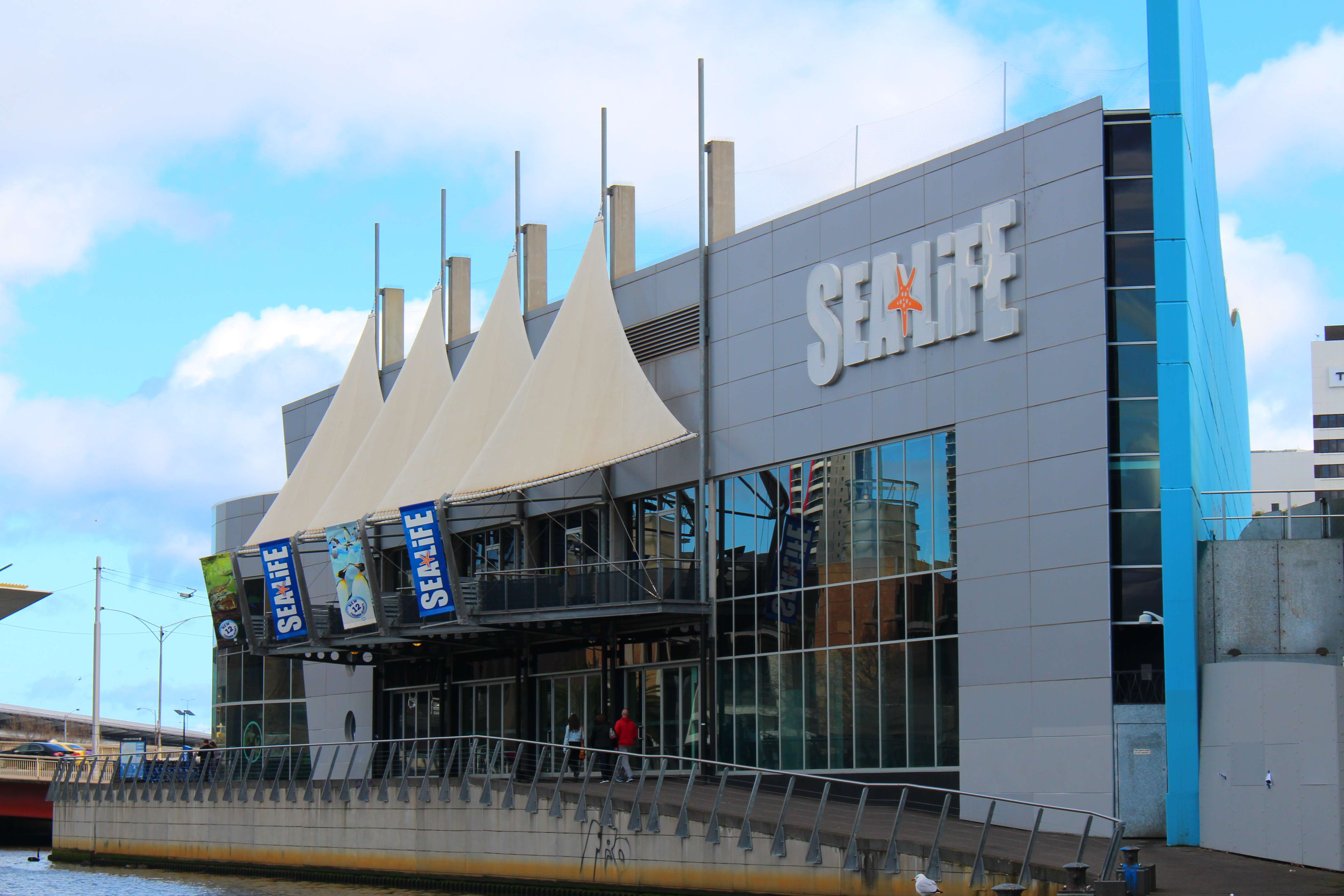 Discover Night Creatures at Sea Life Melbourne Aquarium