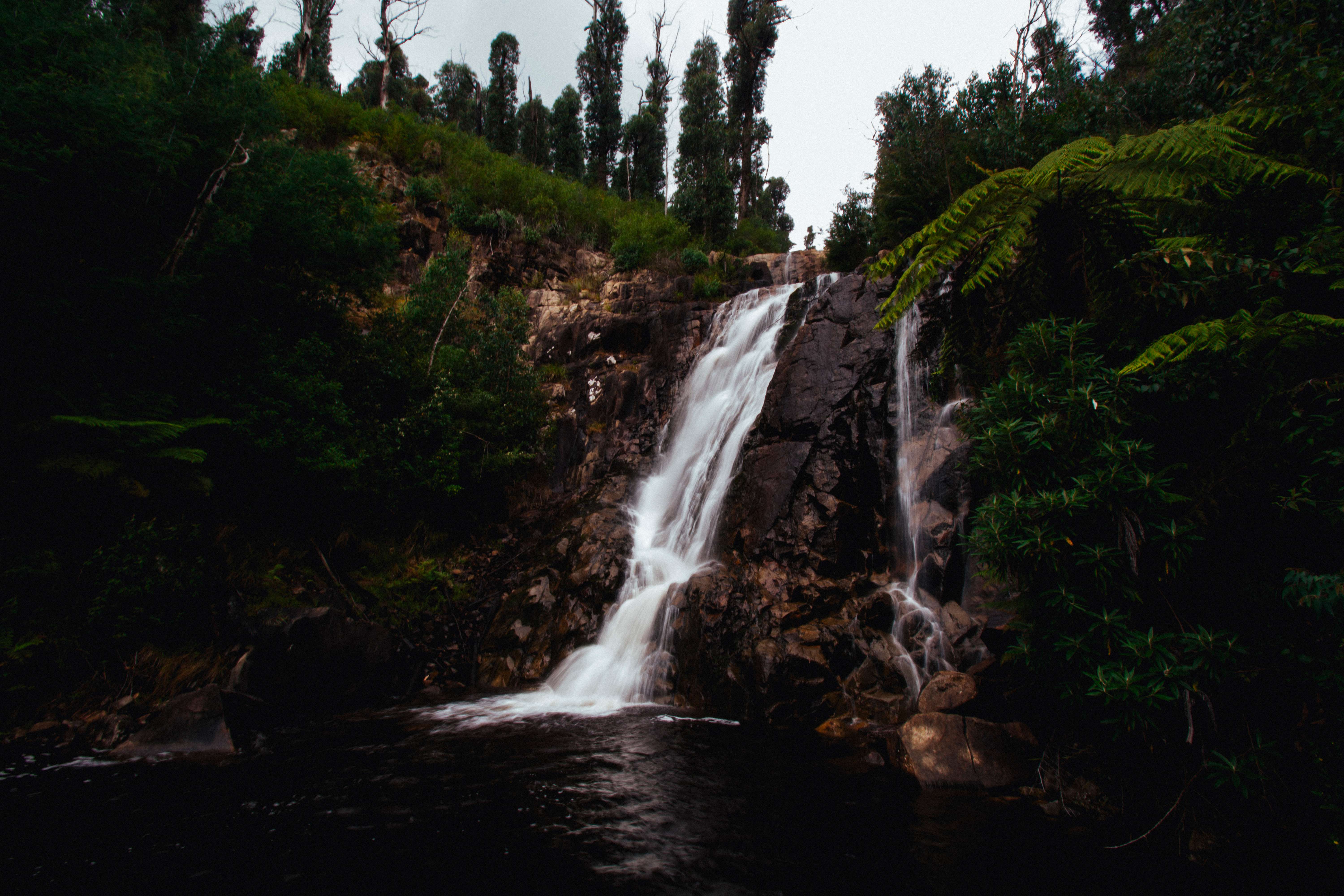 Check out Steavenson Falls