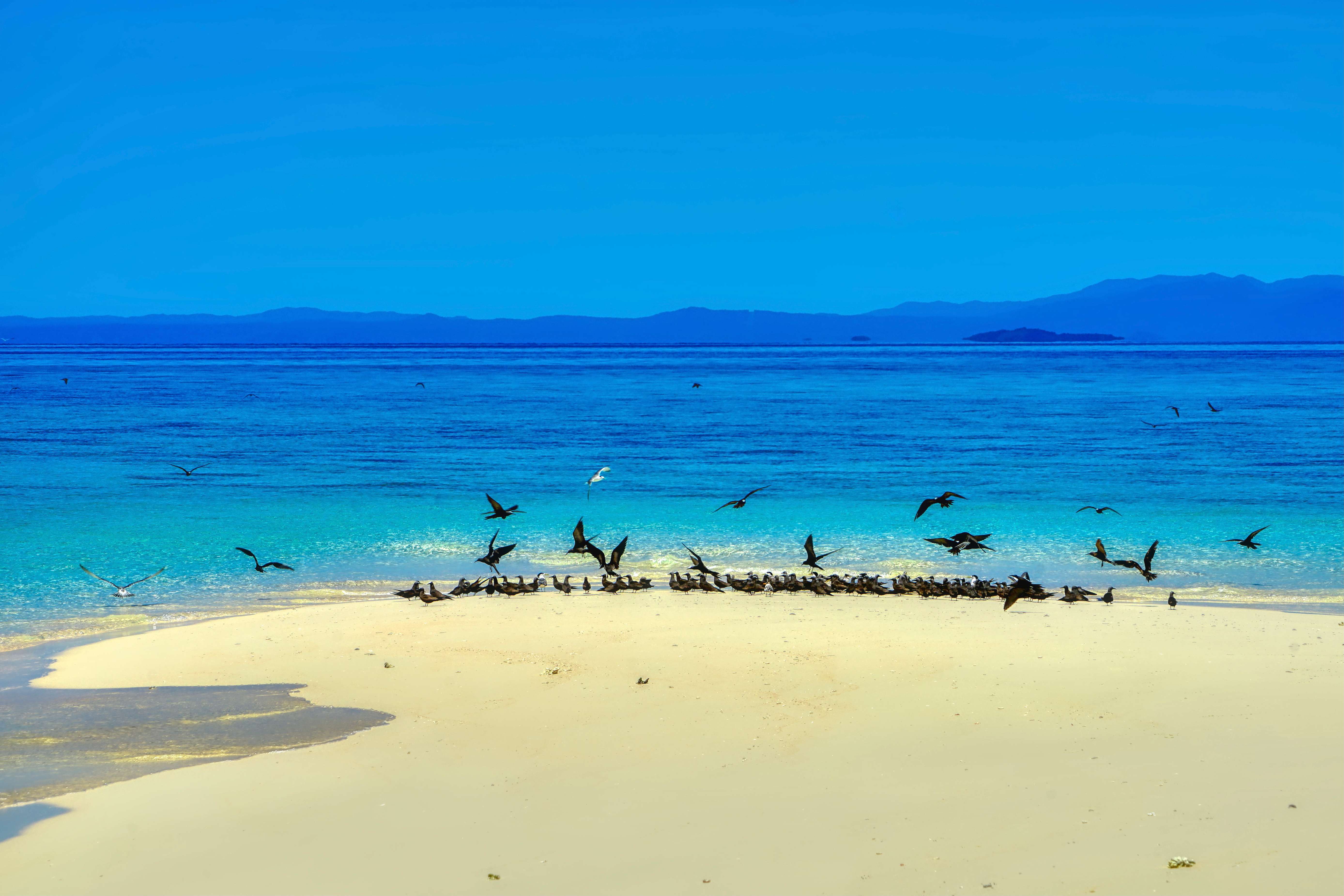 Discover The Great Barrier Reef