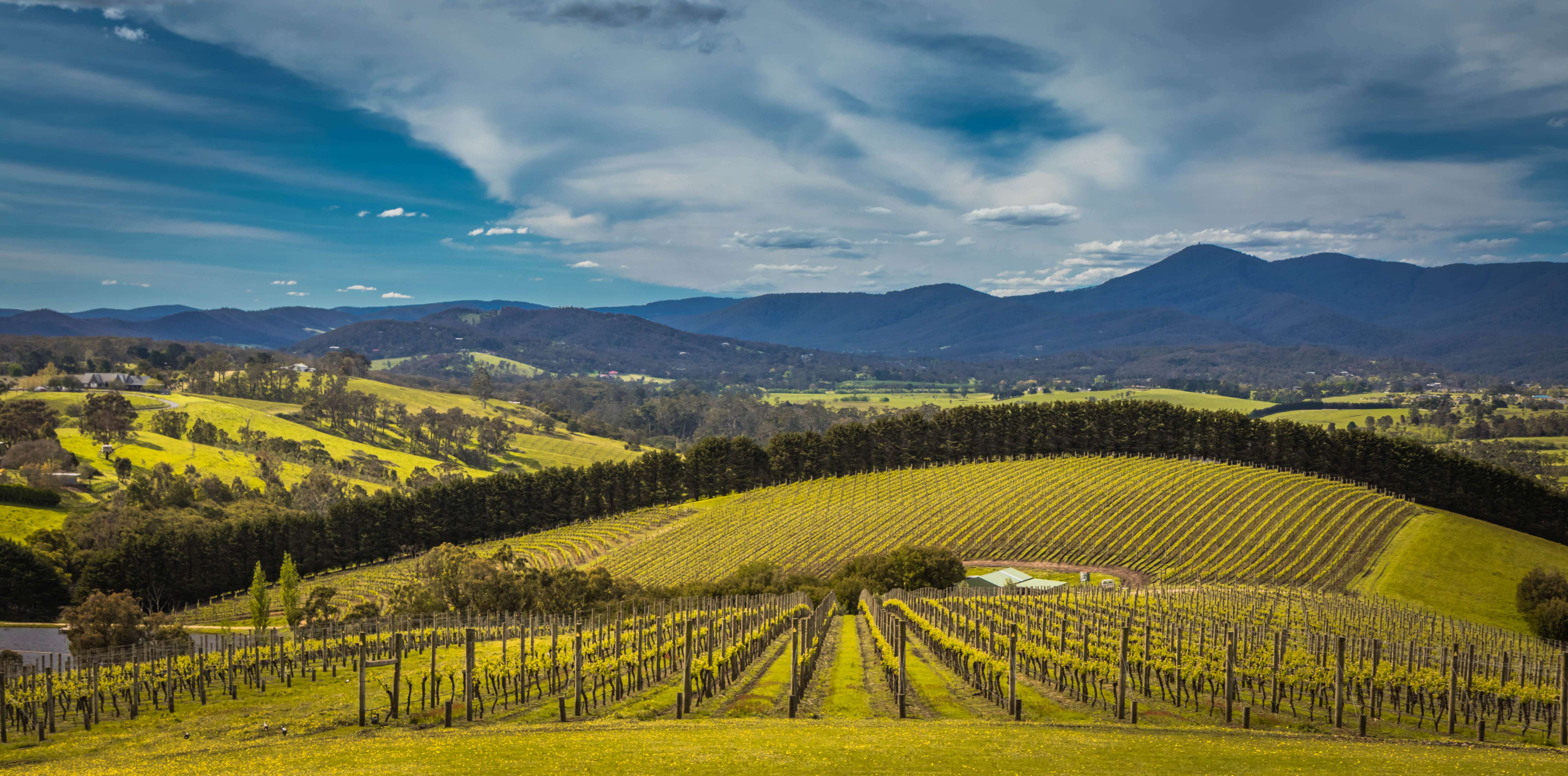 10 Things To Do In Yarra Valley | Book & Get Upto 40% Off