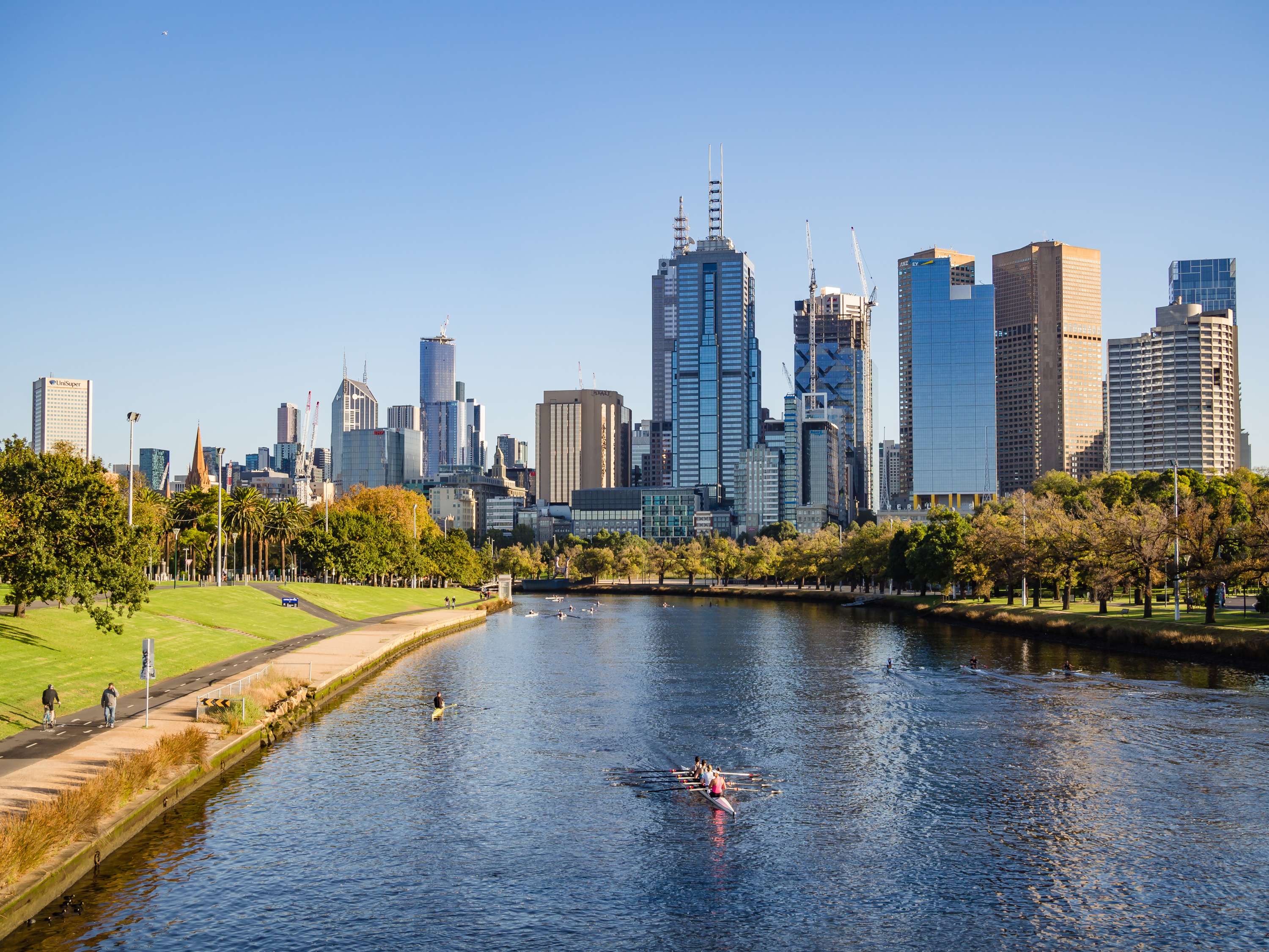 See Autumn Leaves Around The State
