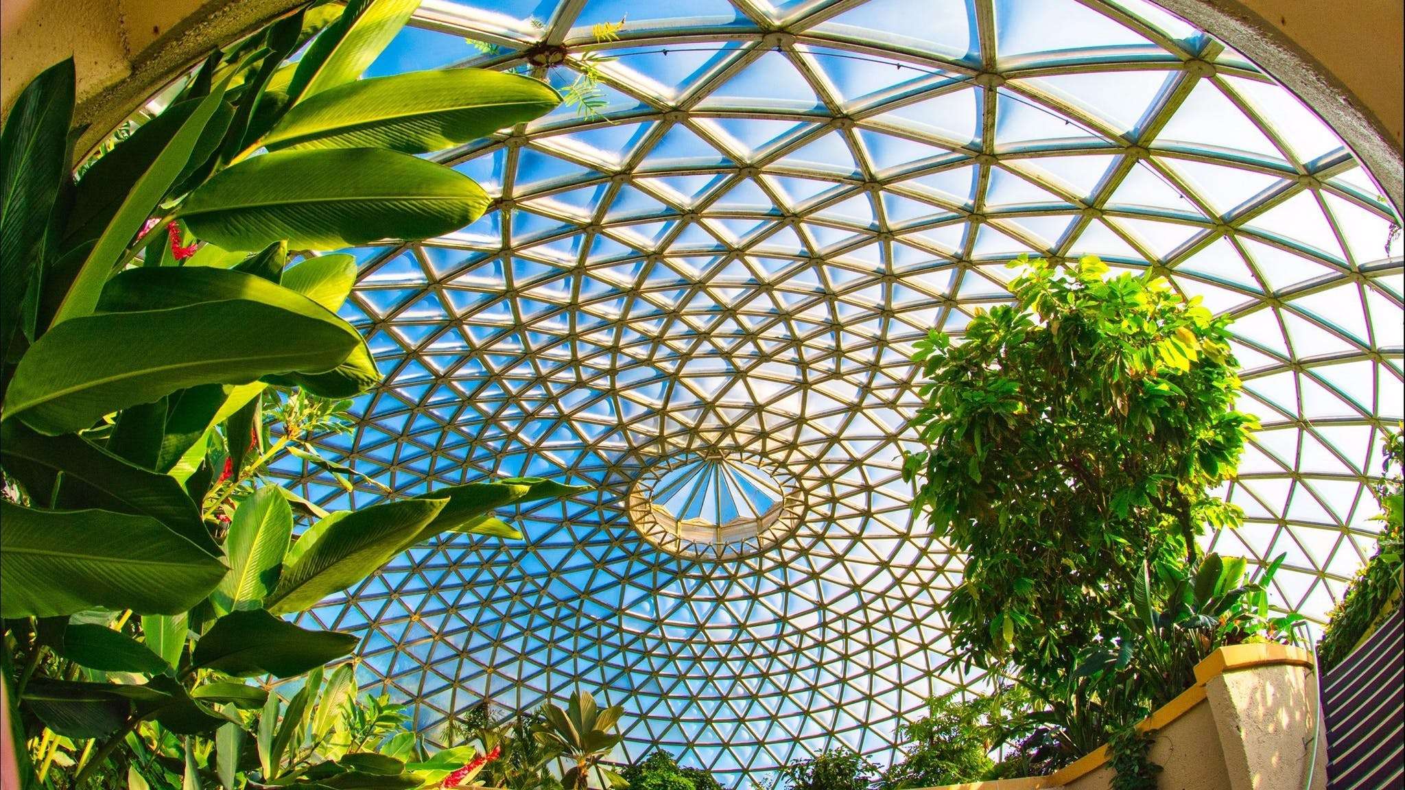  Stroll Through Brisbane Botanic Gardens Mount Coot-tha