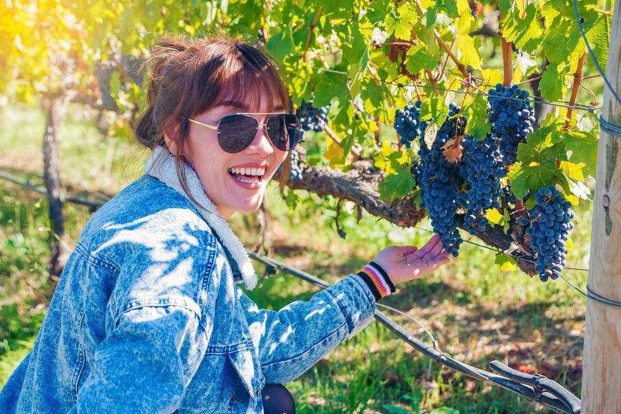 Full Day Mount Tamborine Winery Tour