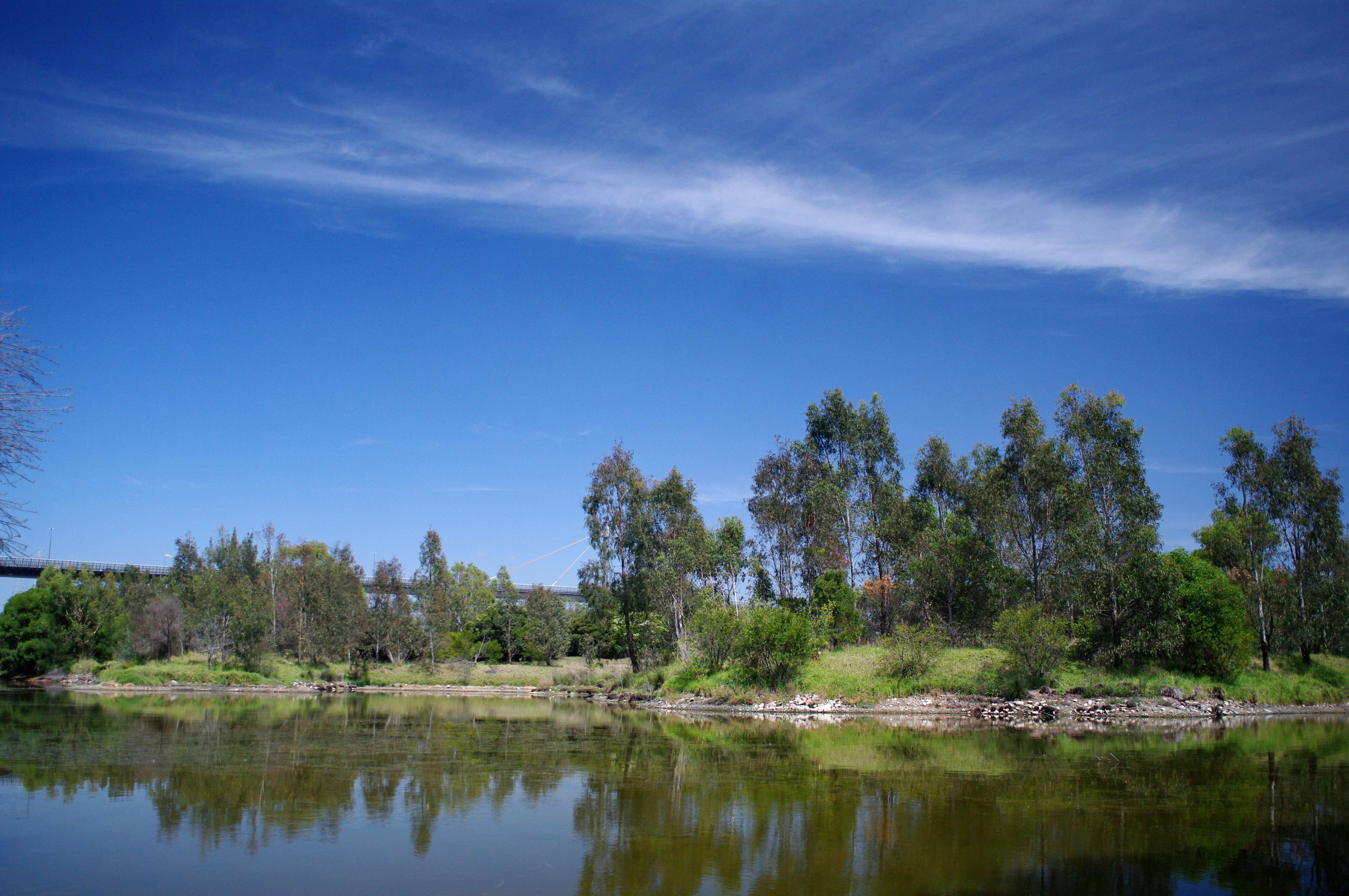 Capture Pictures At Westgate Park