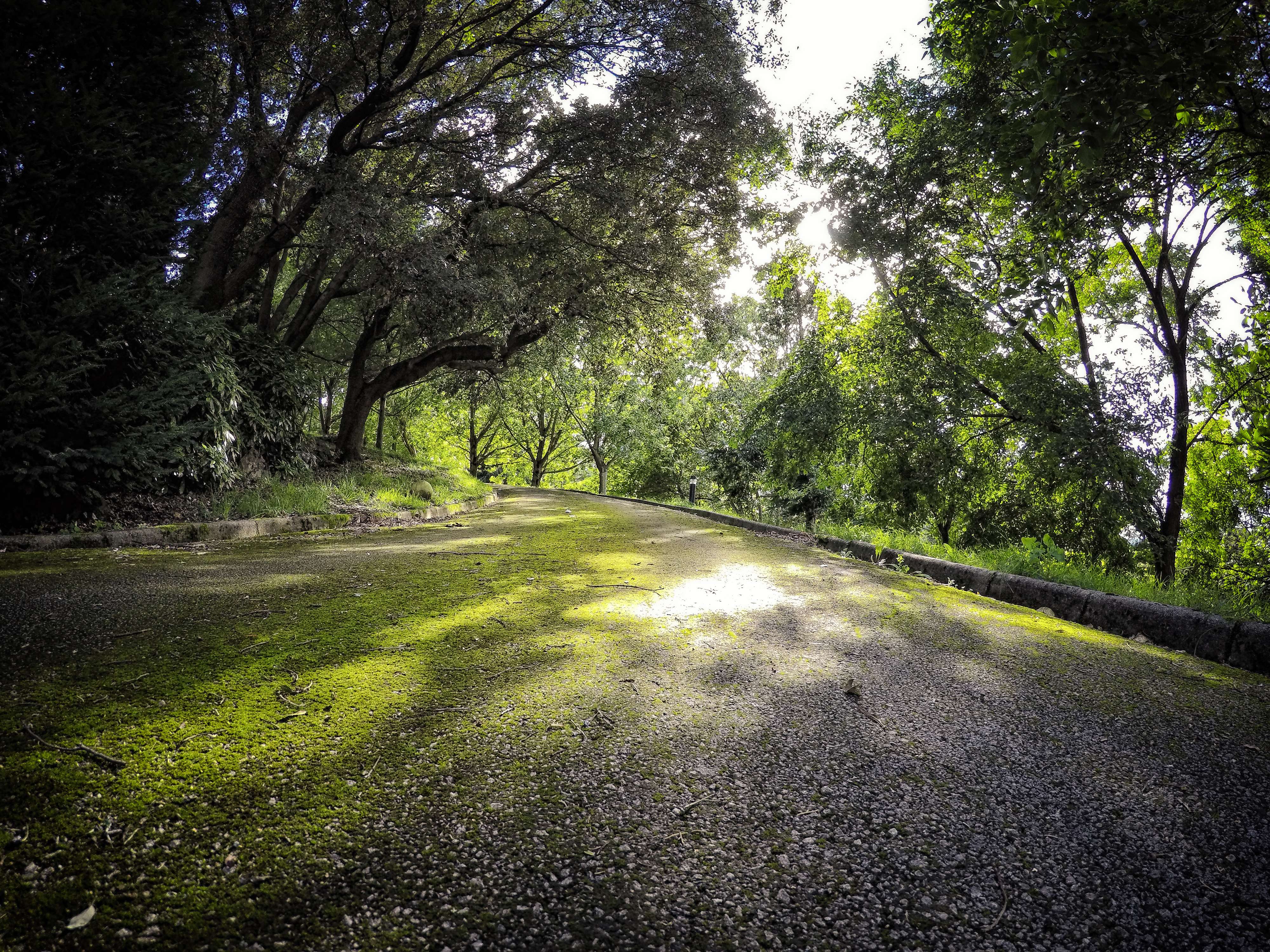 Cairns to Cape York, Qld