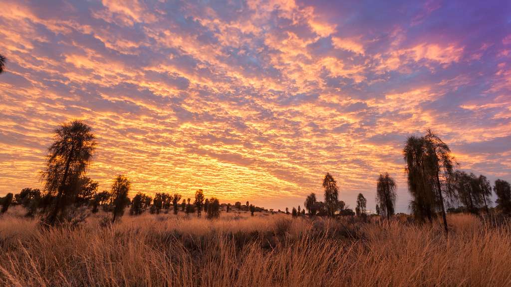 Watch the Sunrise at Uluru