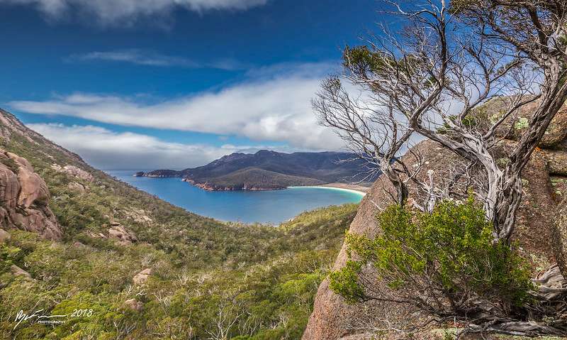 Visit Wineglass Bay 