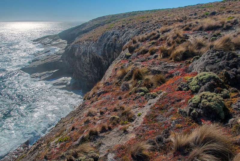 Visit Kangaroo Island