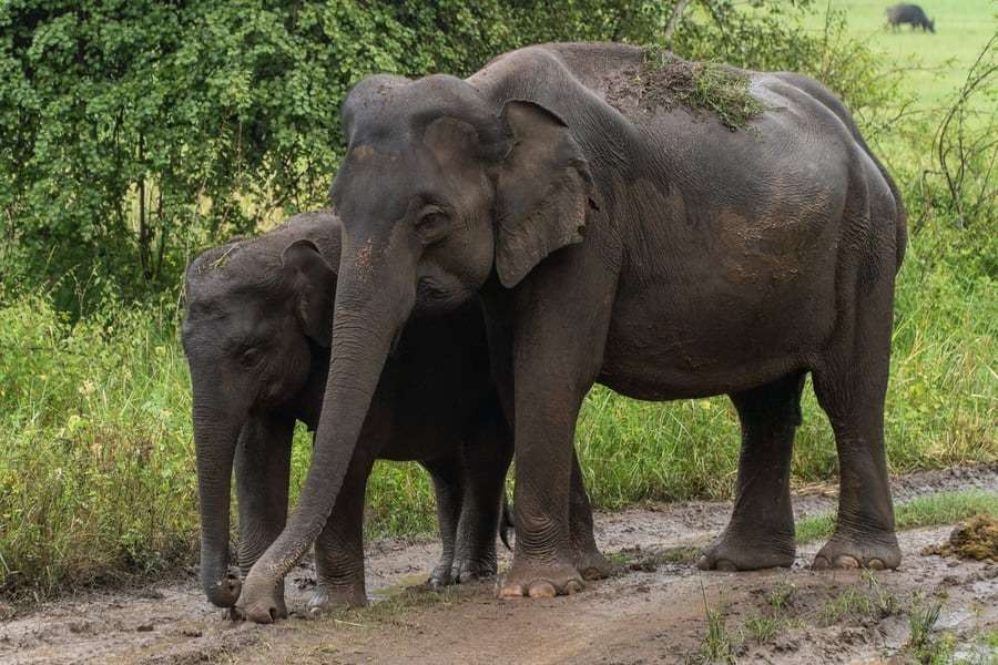 Visit Burleigh Head National Park