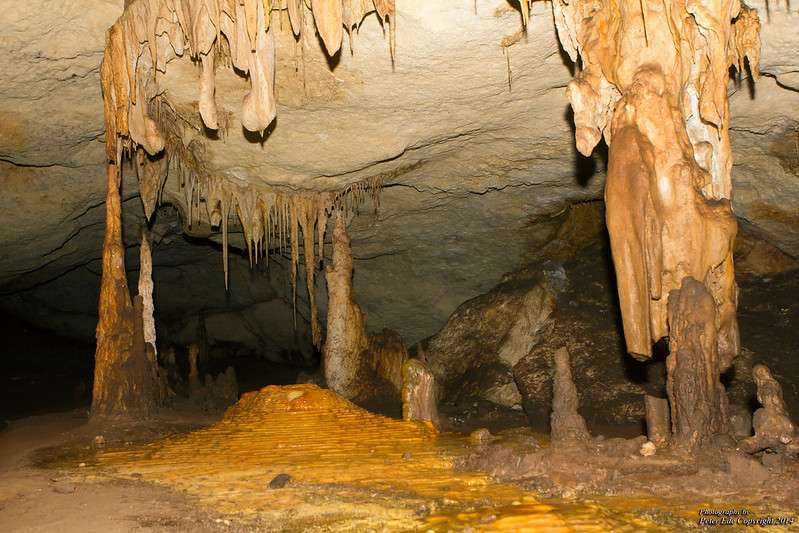 Explore the Naracoorte Caves