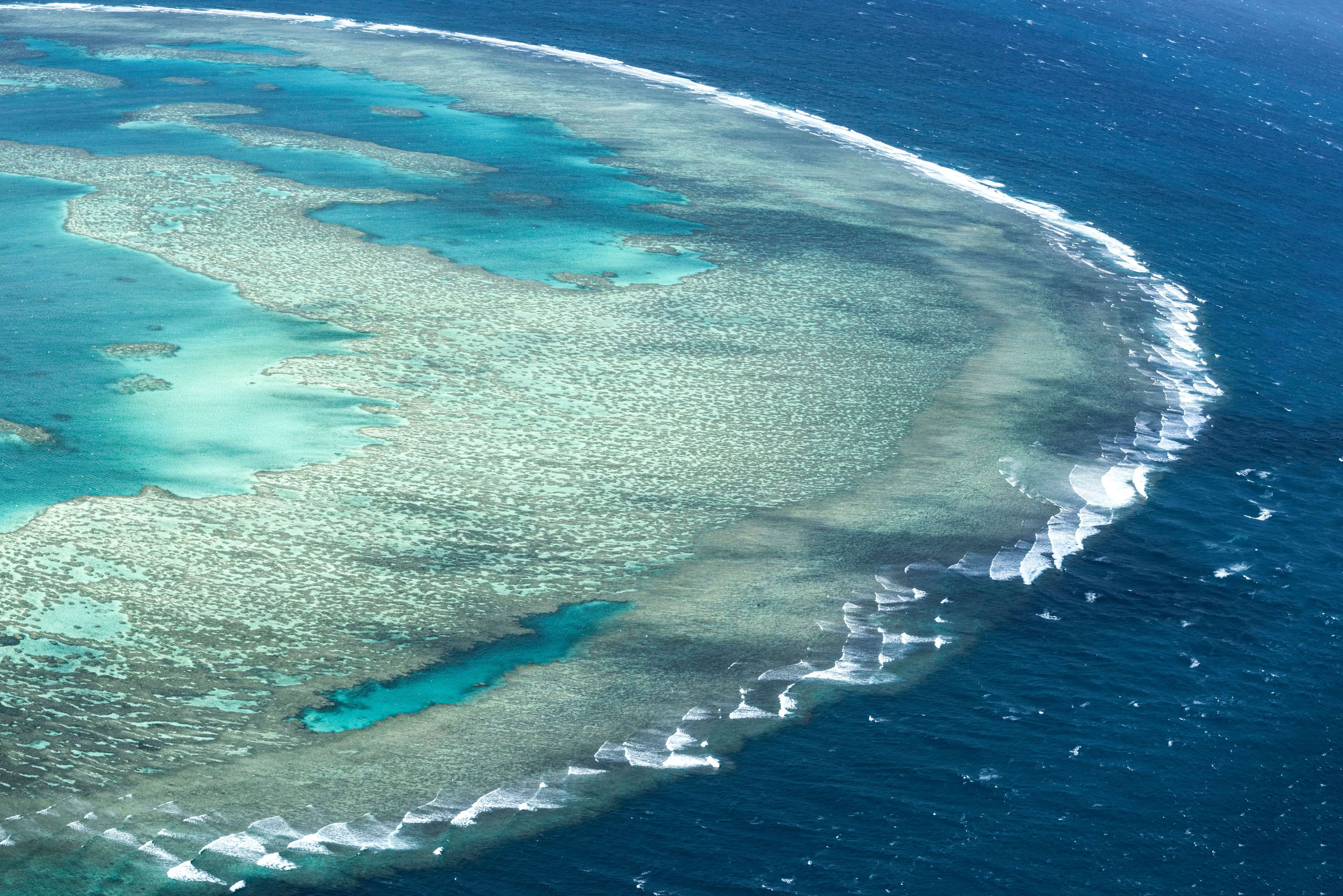 Dive into the Great Barrier Reef