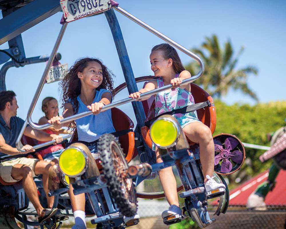 Donatello's Ninja Flyers