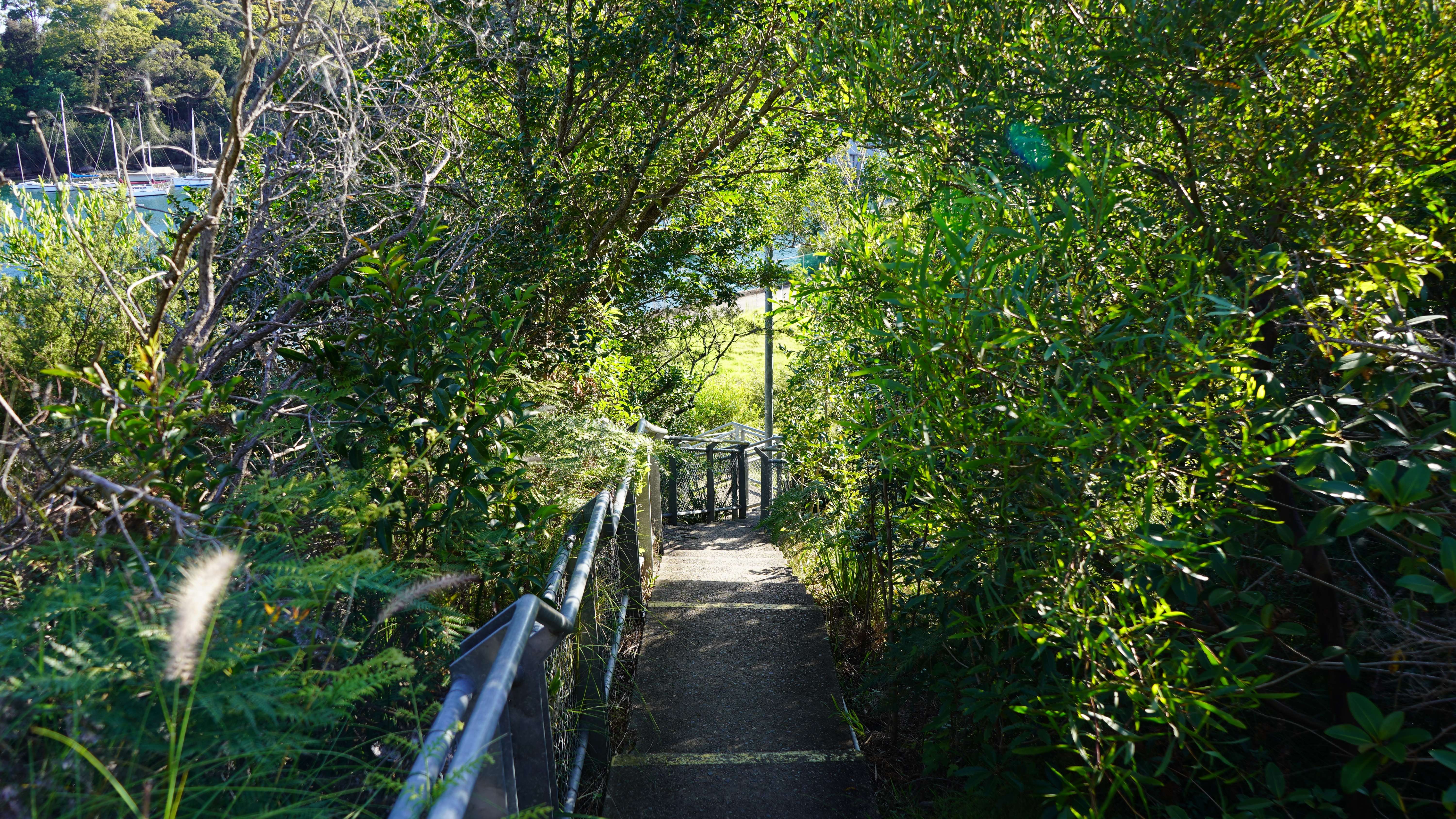 Check out Balls Head Reserve