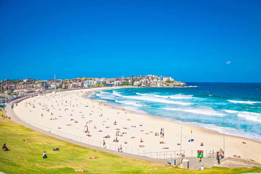 Bondi to Coogee Coastal Walking Tour