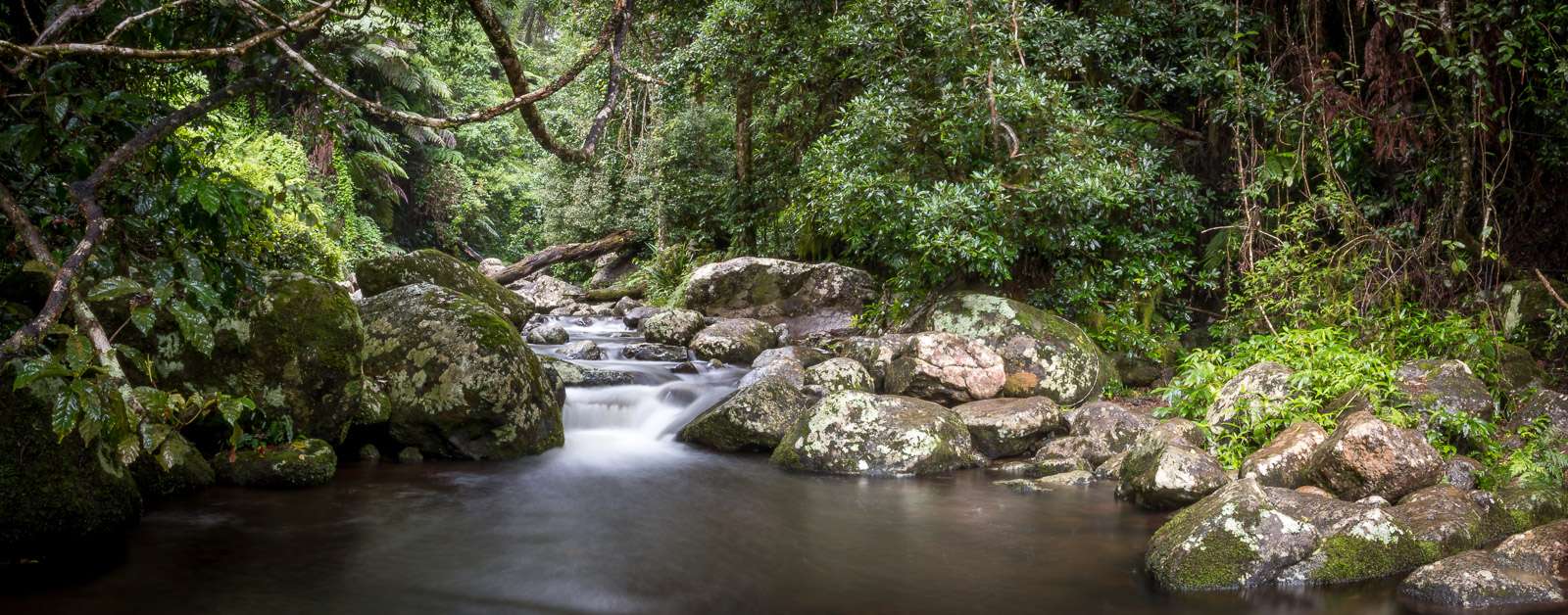 Visit The Lamington National park