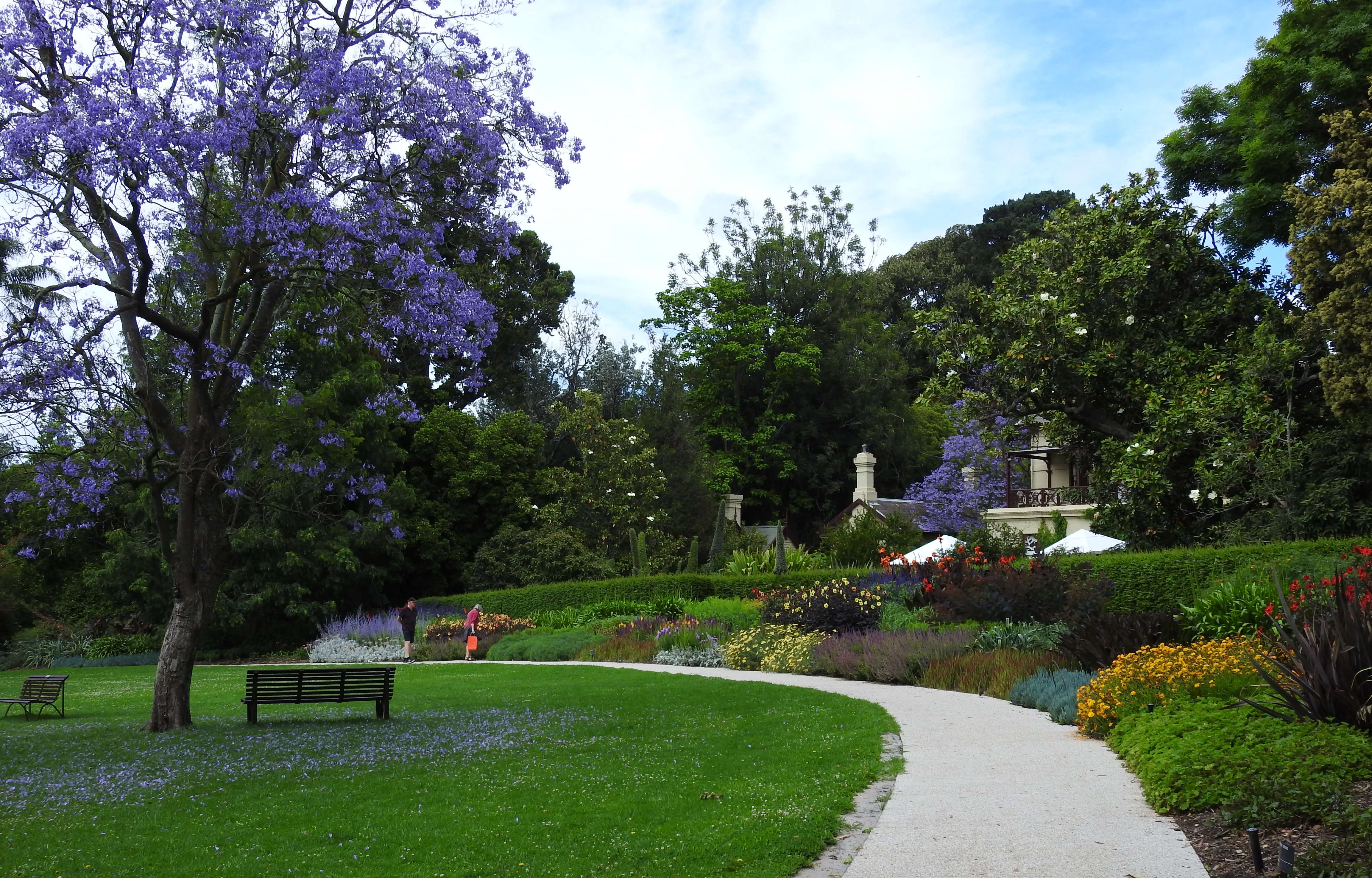Wander The Royal Botanic Gardens