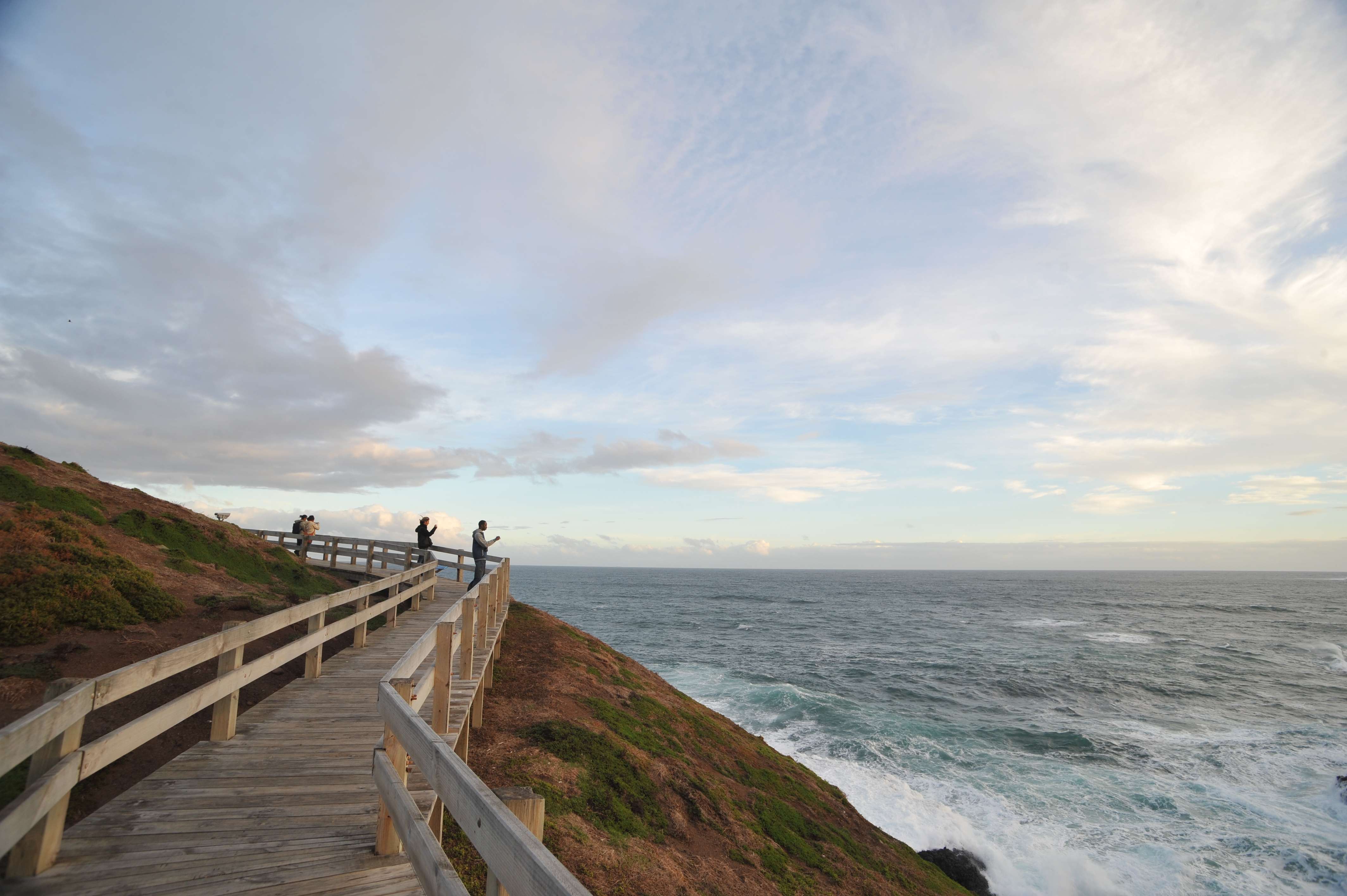 Take A Day Trip to Phillip Island