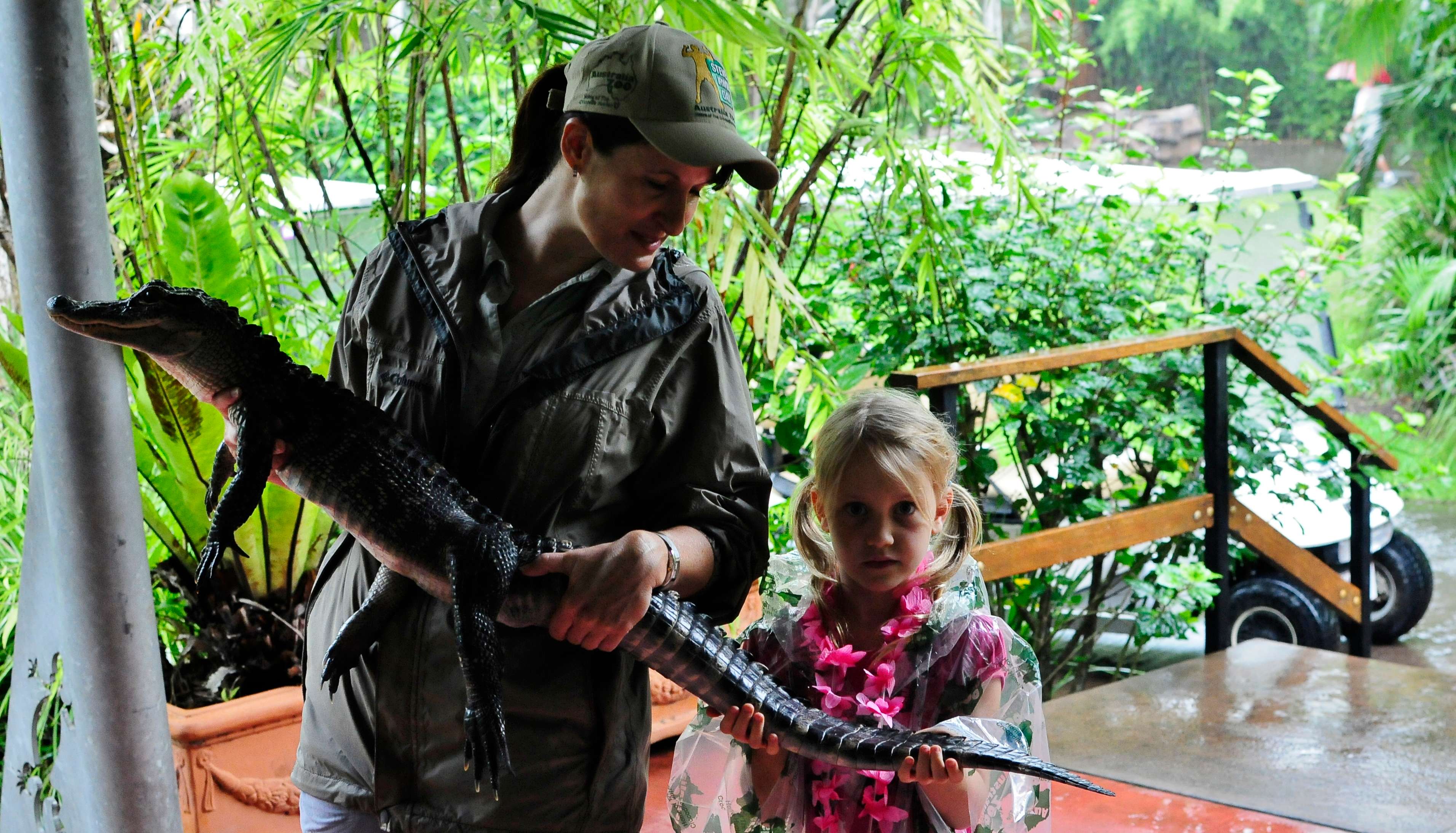 Witness Australian Wildlife At Australia Zoo