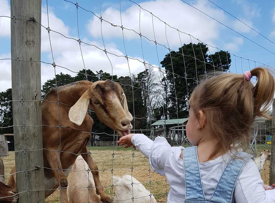 Walk Around Chesterfield Farm