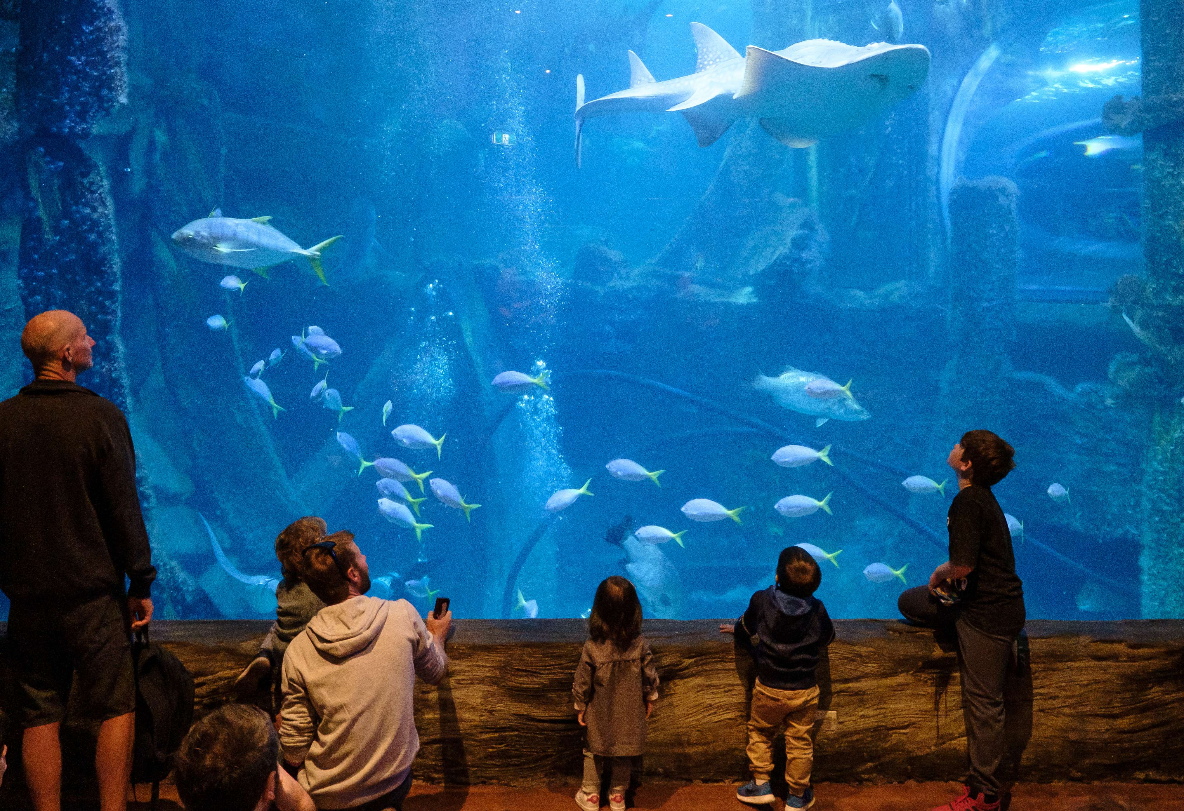 10 Things To Do With Toddlers In Melbourne | Get Upto 30% Off