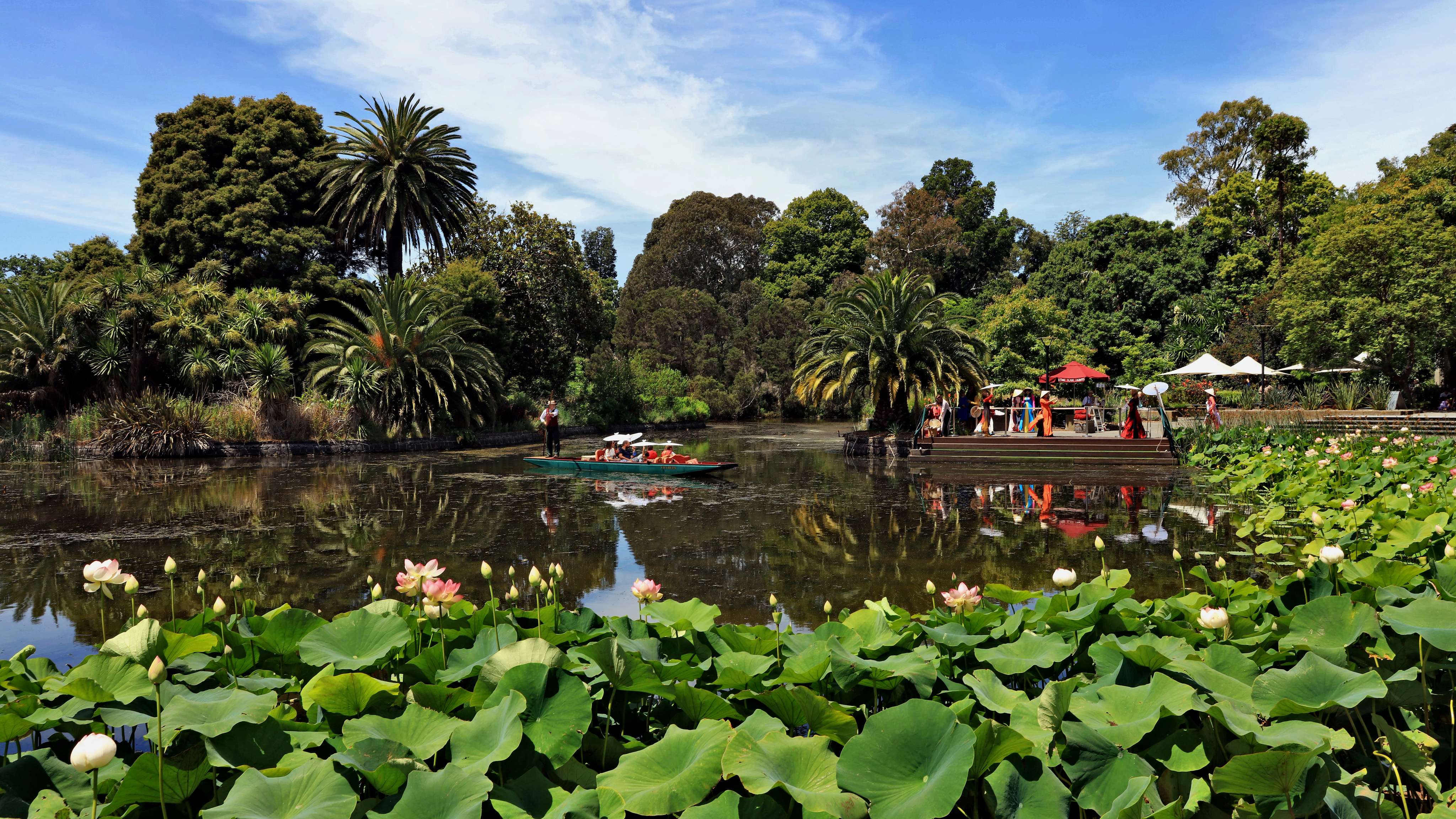 Cruise Along The Lake At Royal Botanic Gardens