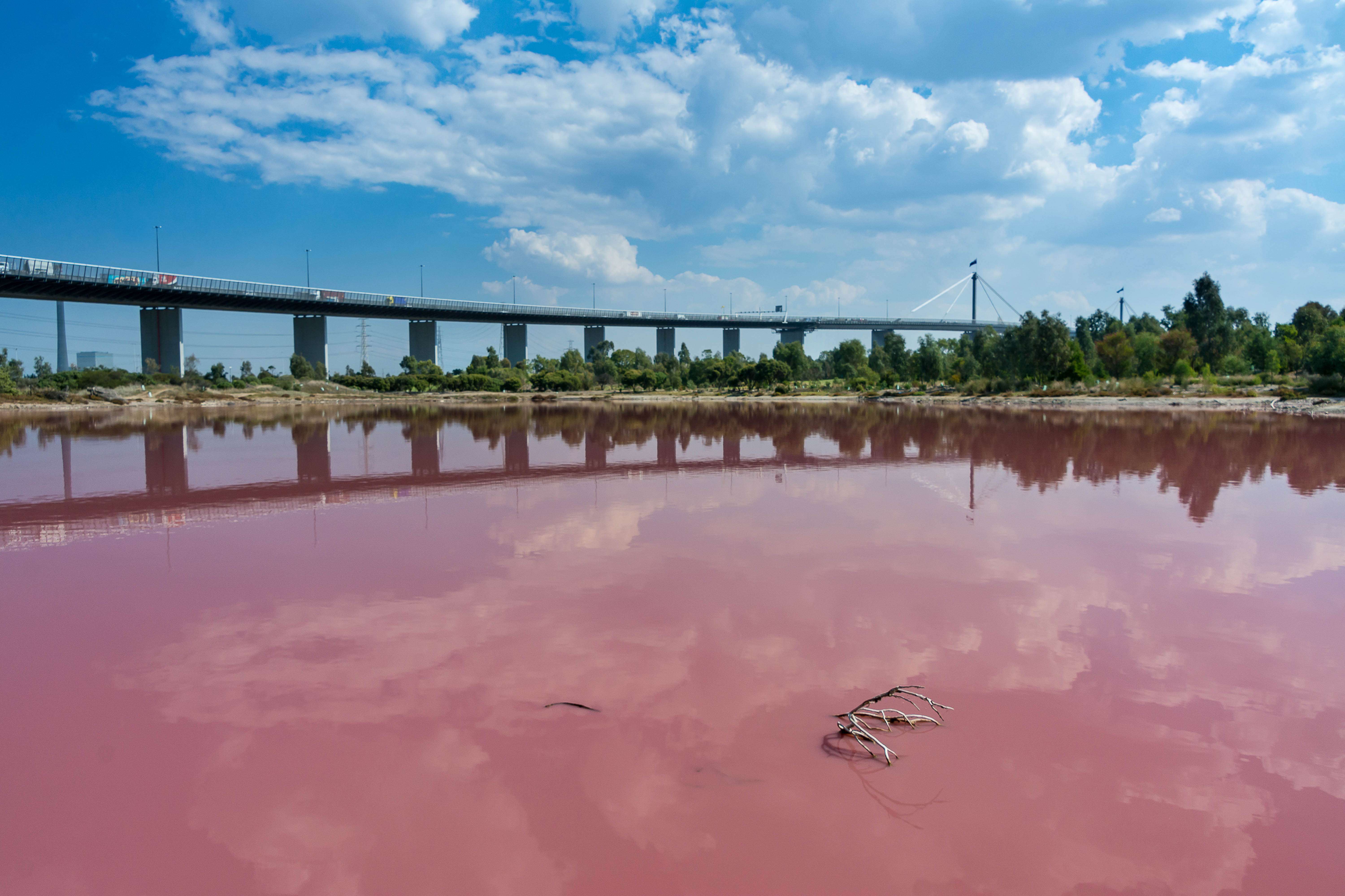 Visit The Pink Lake