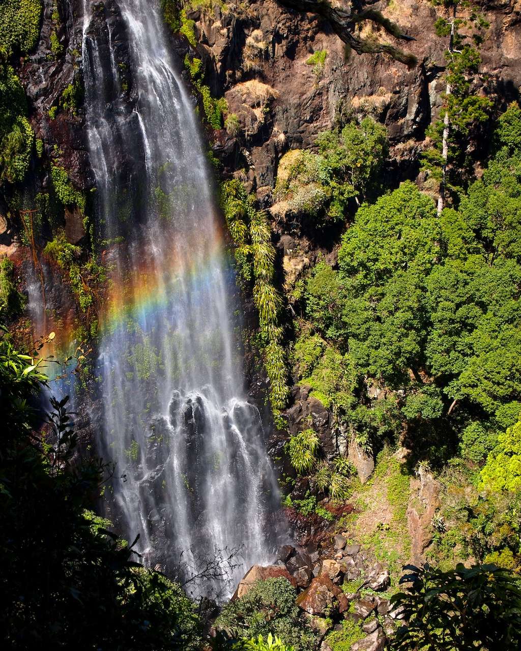 Morans Falls, Lamington National Park 