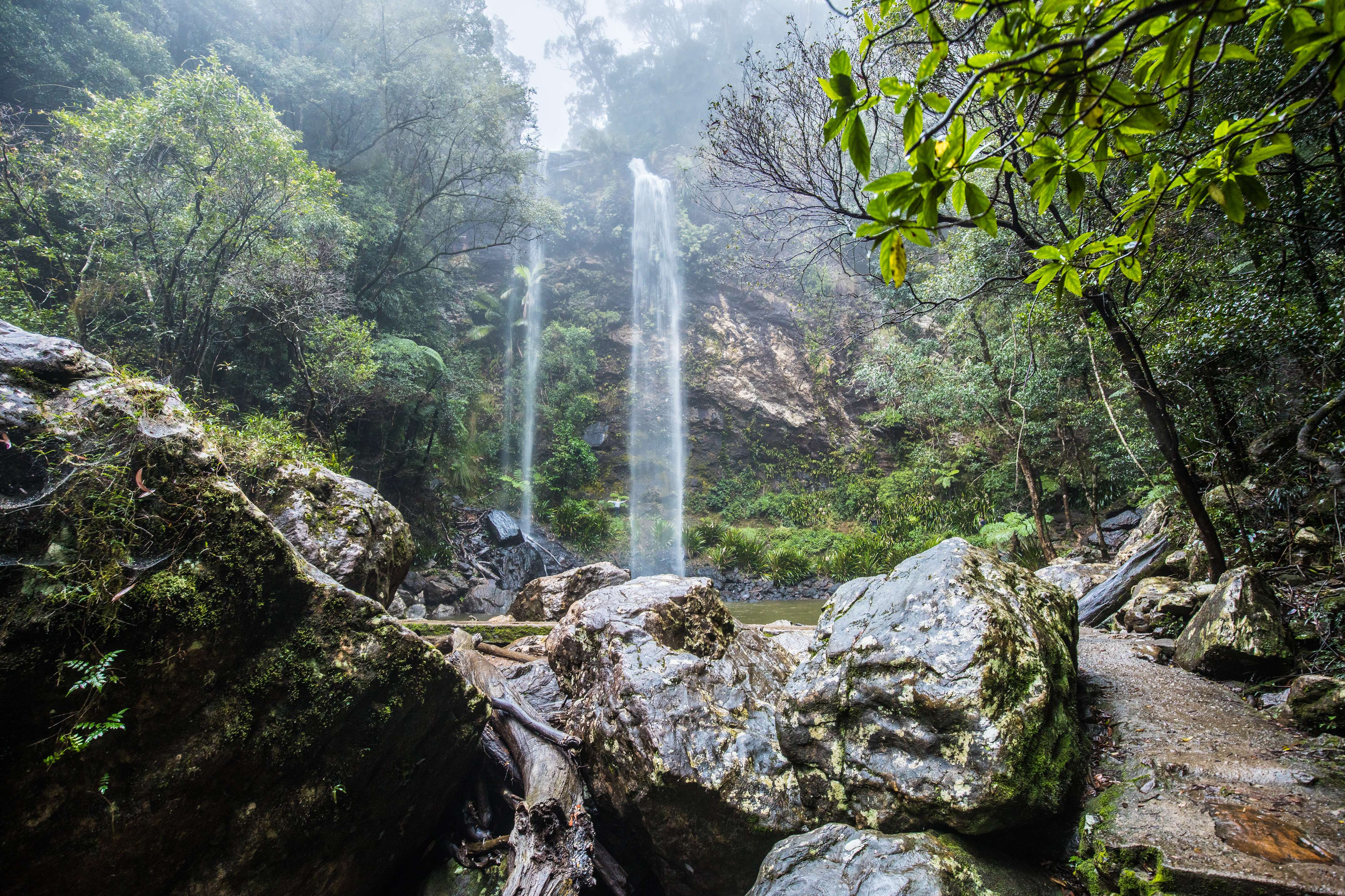Twin Falls, Springbrook National Park 