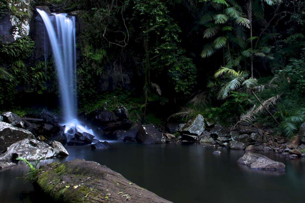 Curtis Falls, Tamborine National Park 