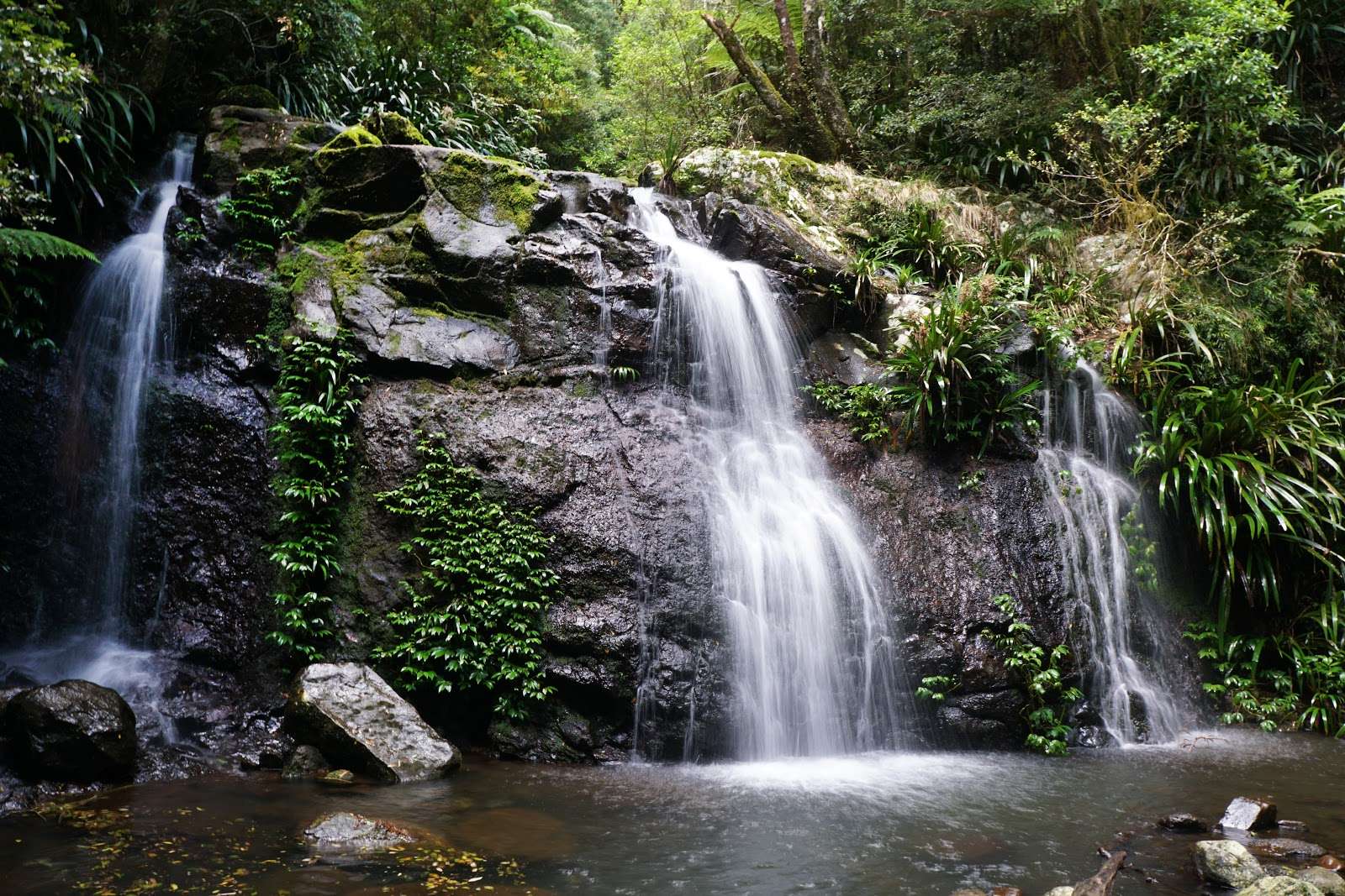 Coomera & Yarrabilgong Falls, Lamington National Park