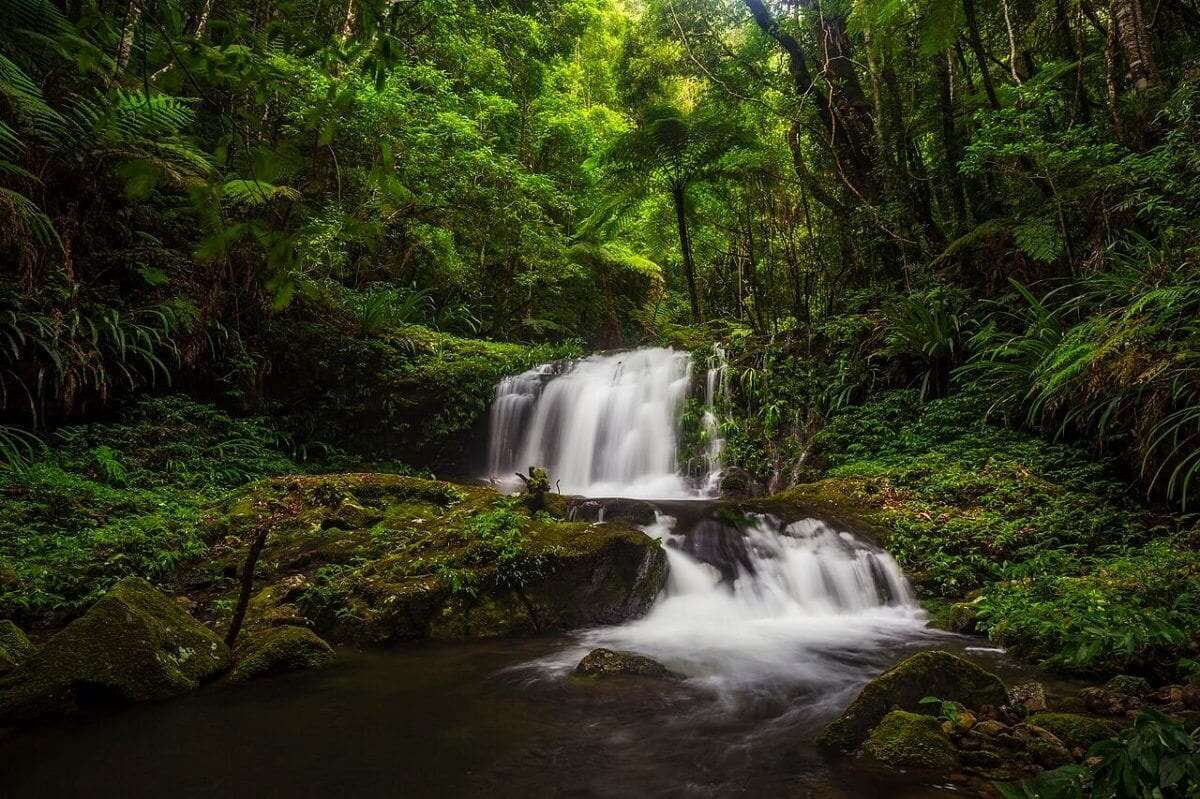 Mirror Falls,Lamington National Park