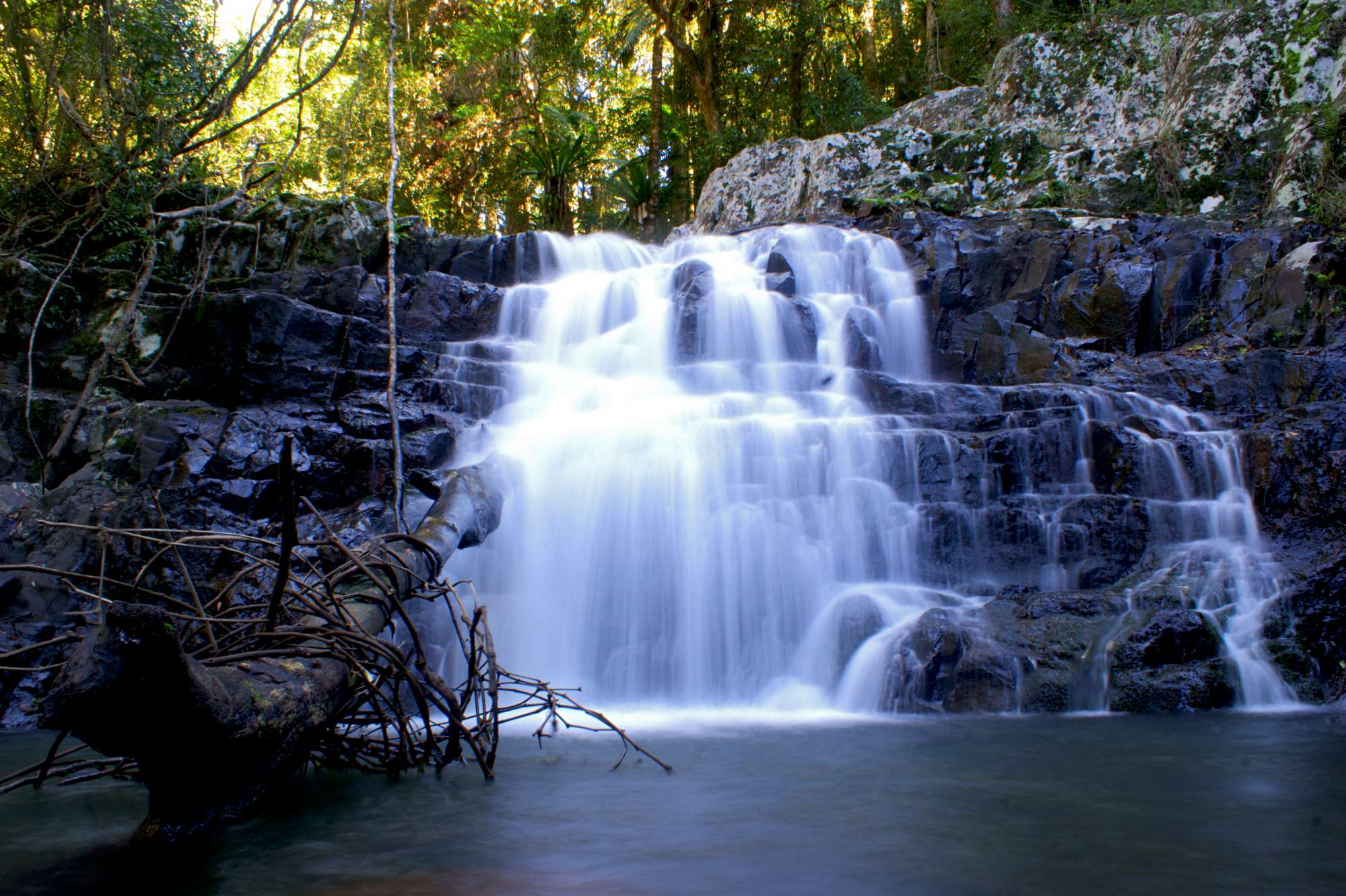 Goomoolahra Falls, Springbrook National Park 